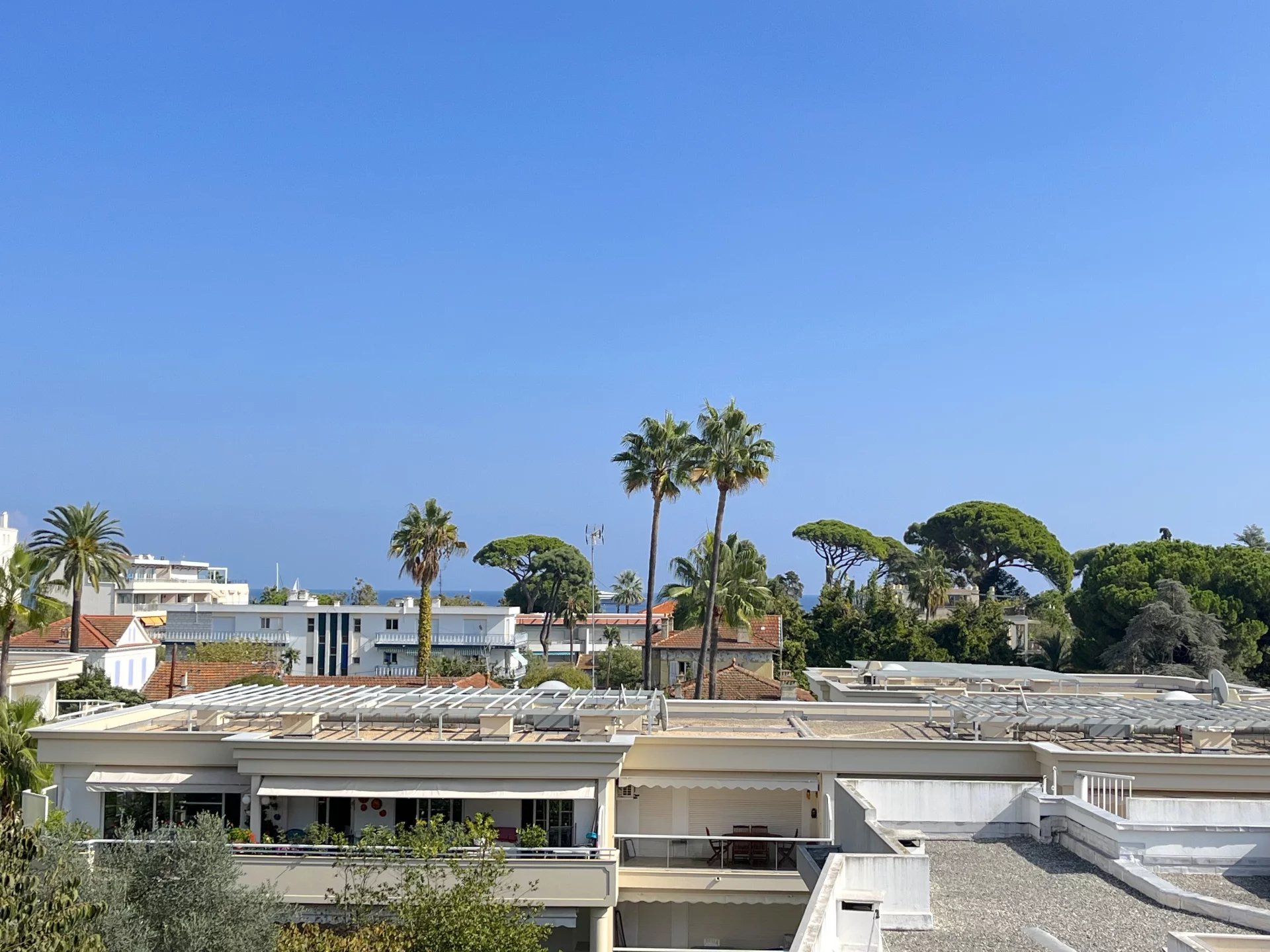 Agence immobilière de My Little Côte d'Azur