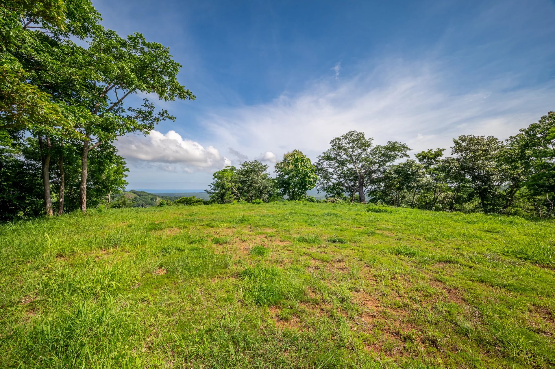 Venta Terreno Santa Cruz