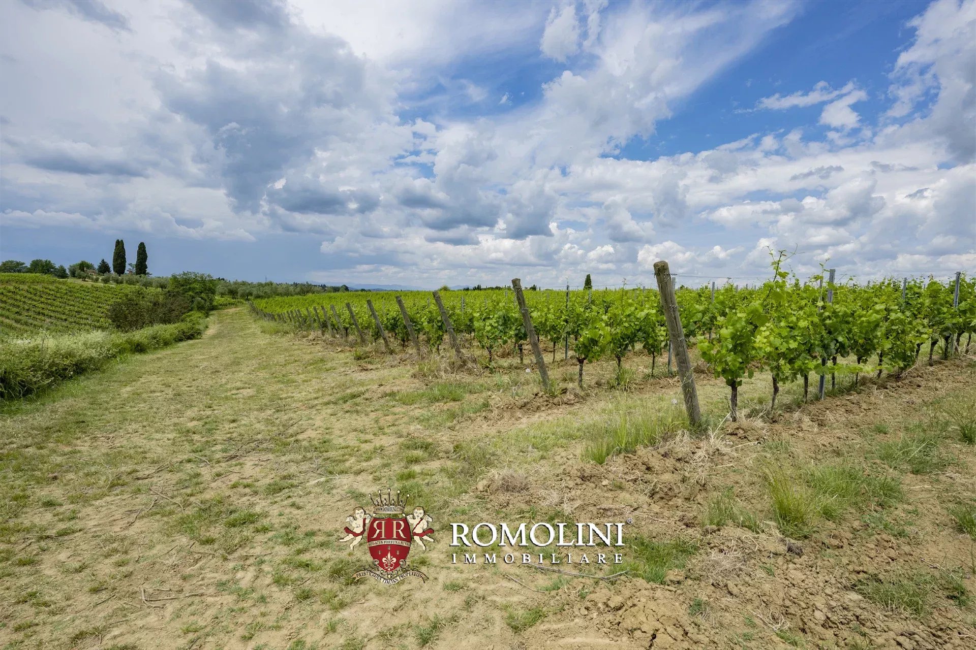 7 Bedroom Vineyard's Image 26