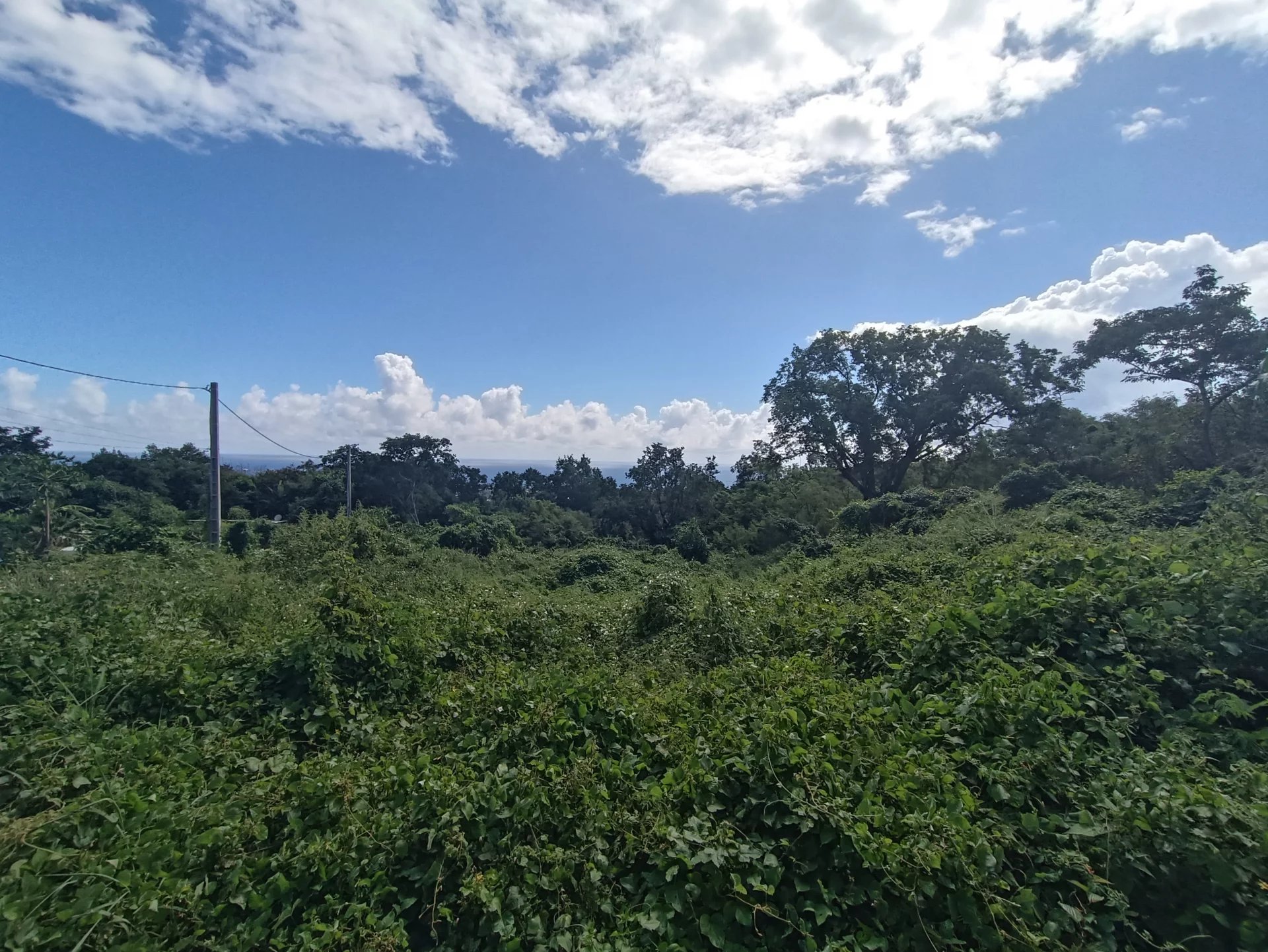 Sale Building land La Possession