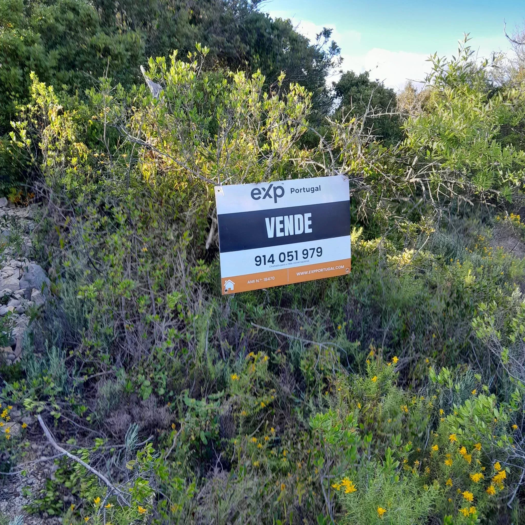 1560 m² Non-Constructible Land in Santa Bárbara de Nexe 86947956 image 7