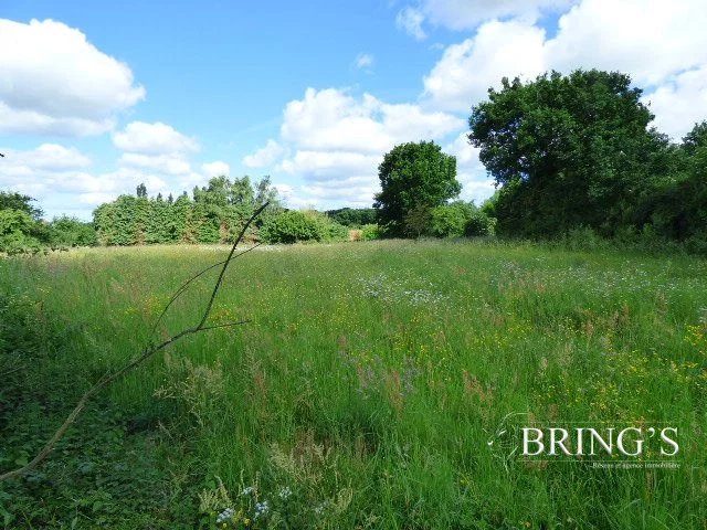 Vente Terrain constructible Saint-Germain-sur-Sèves
