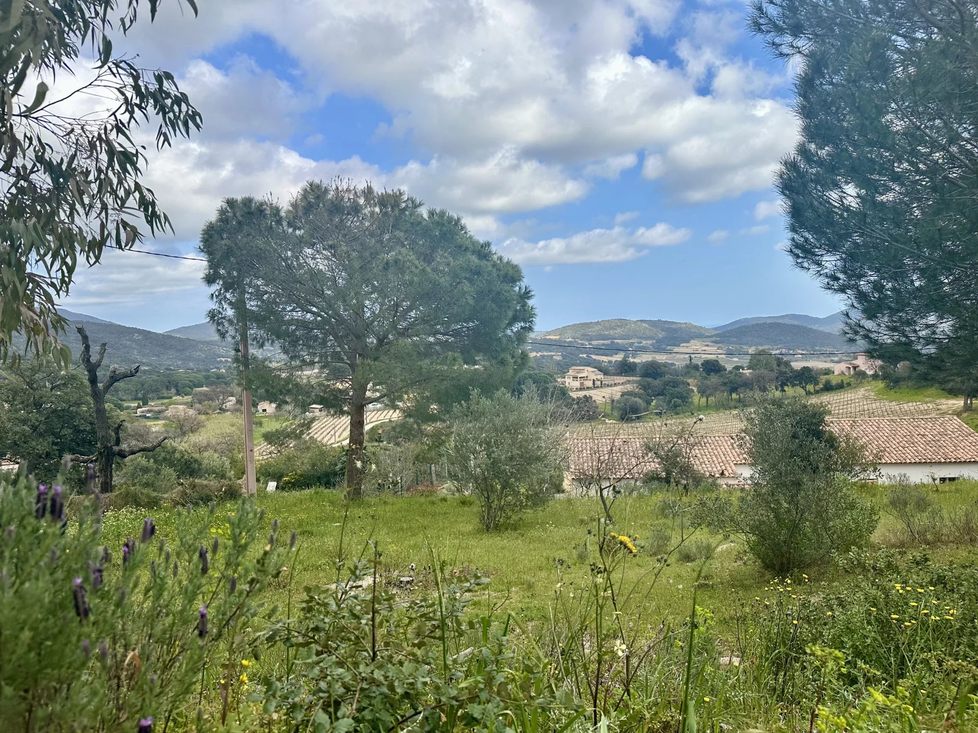 Agence immobilière de Baia Immobilier