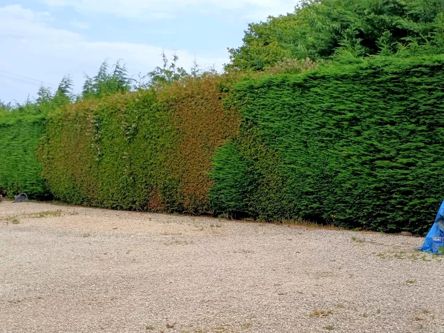 A mi chemin entre Dinan et Dinard