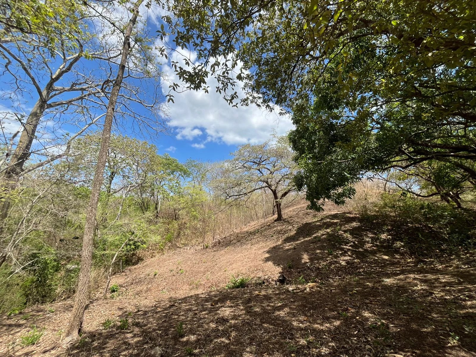 Venta Terreno residencial  Cabo Velas