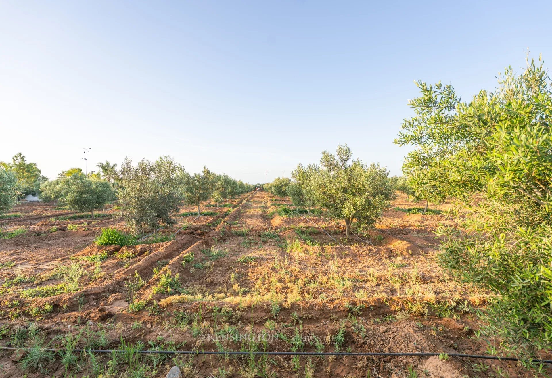 11 Bedroom Farm/Ranch/Plantation's Image 23