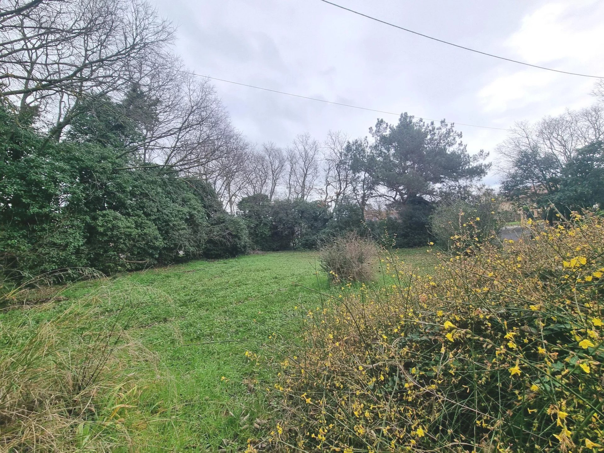 Terrain à vendre Lauris