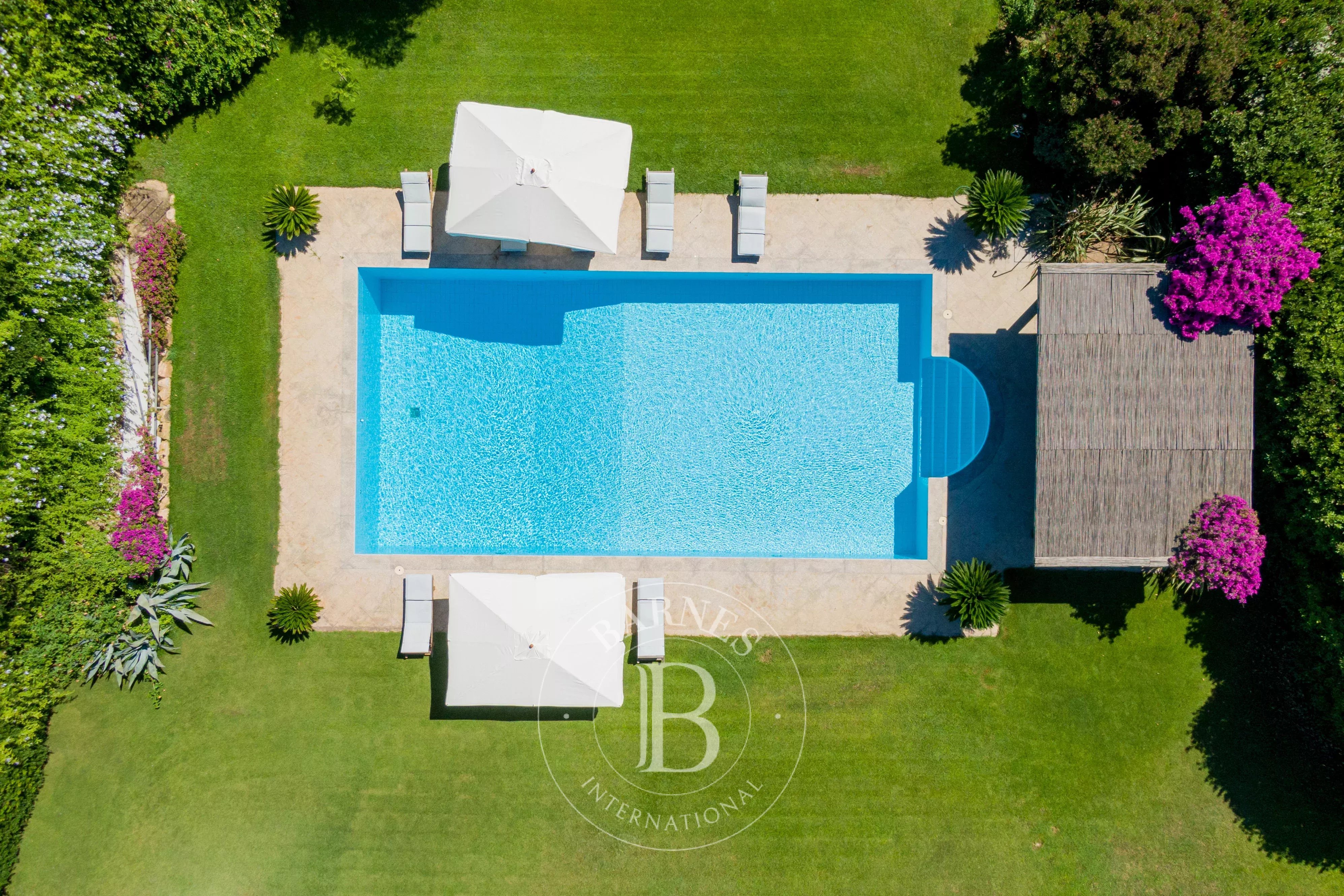 Villa Porto Rotondo  -  ref 6676081 (picture 2)