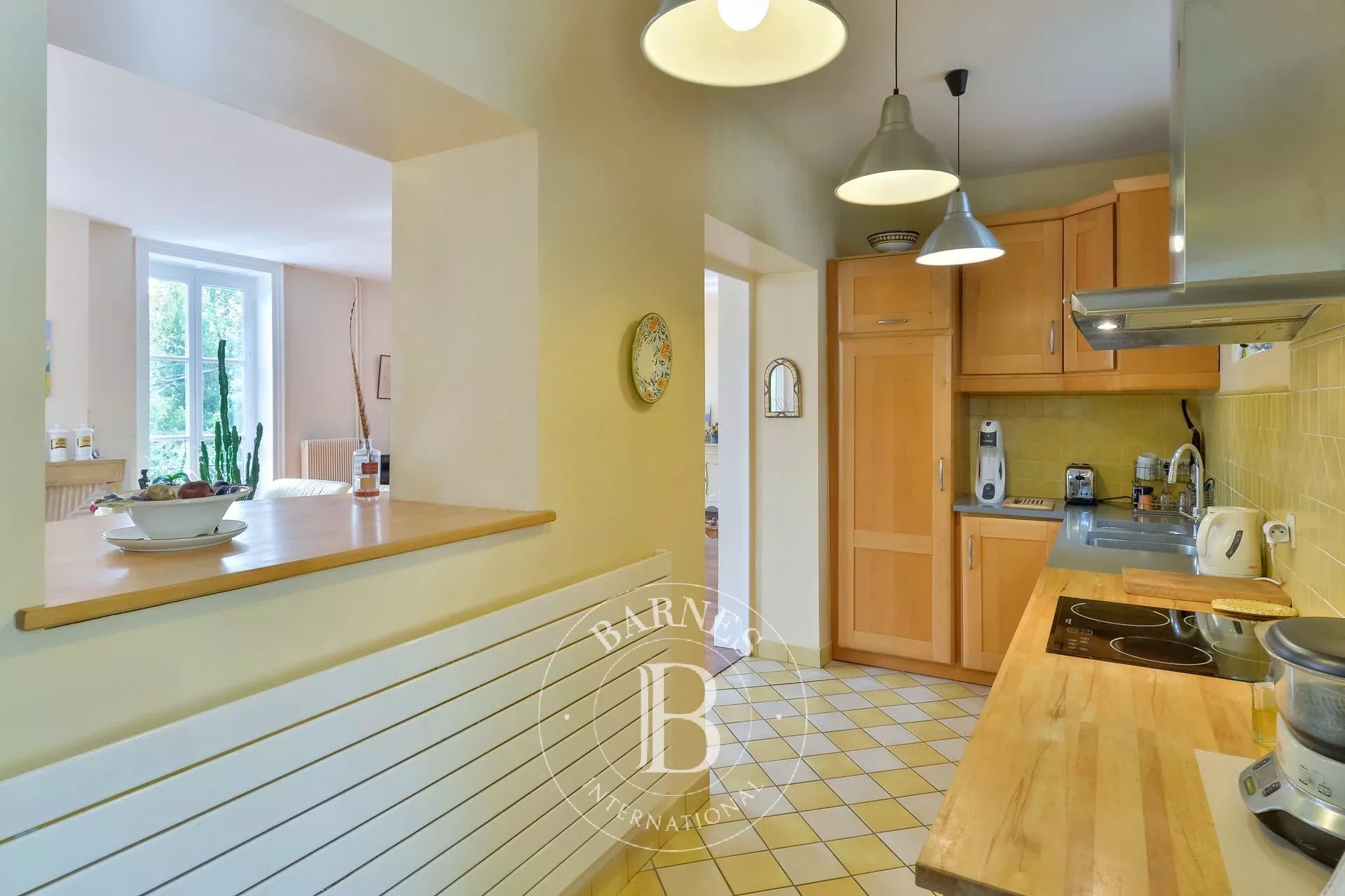 Ev Saint-Didier-au-Mont-d'Or - picture 6