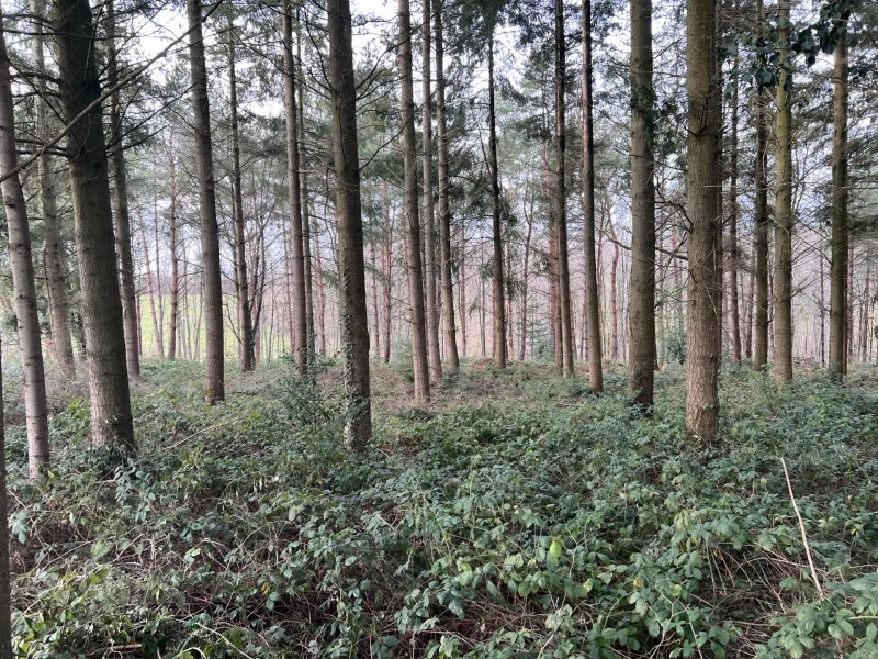 Venta Granja | Rouen - picture 2