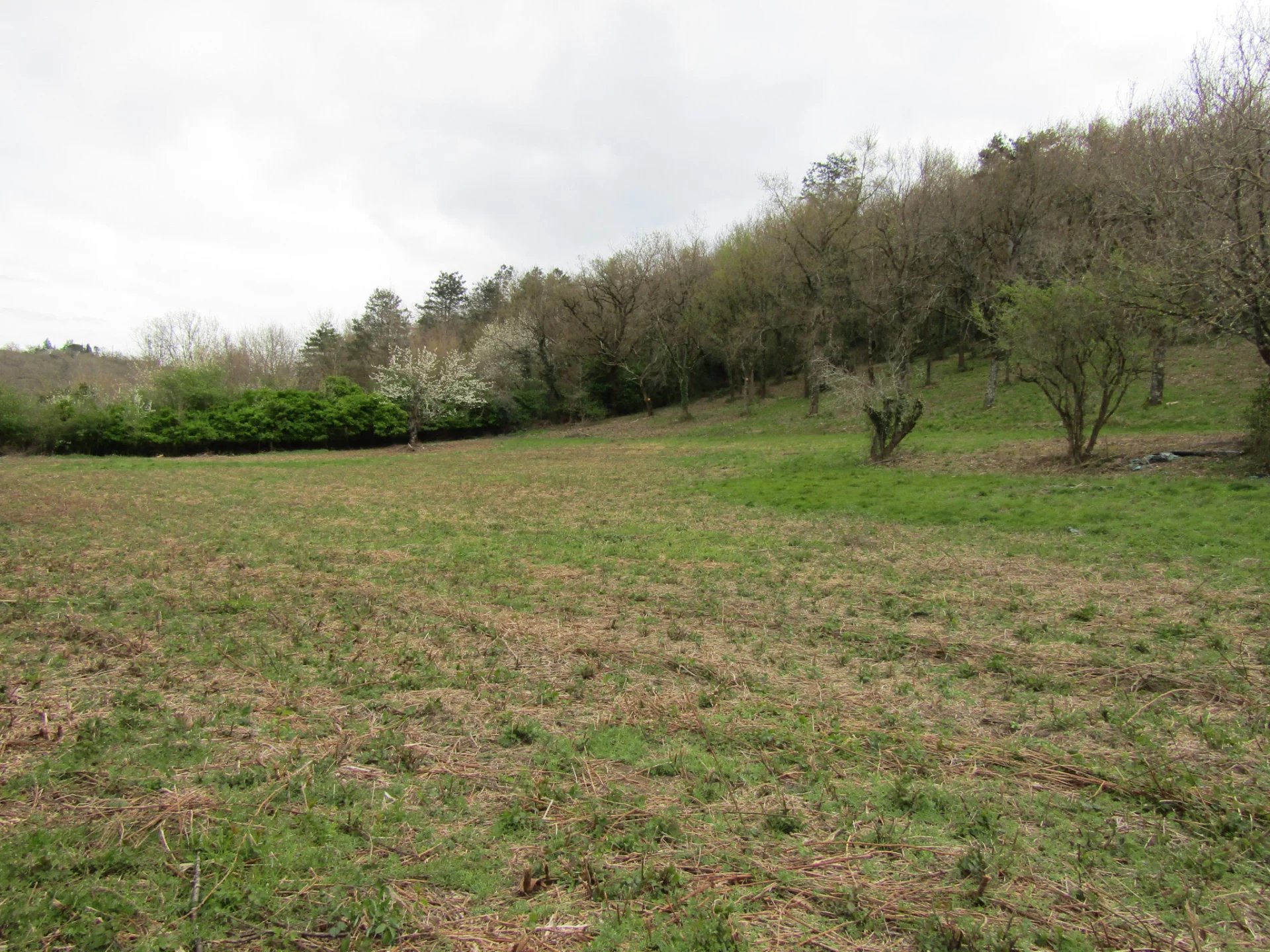 Vente Terrain Revel