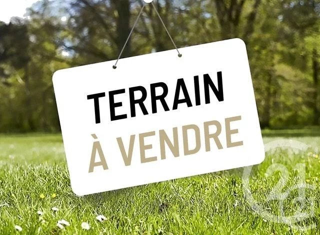 Vente Terrain Brusvily