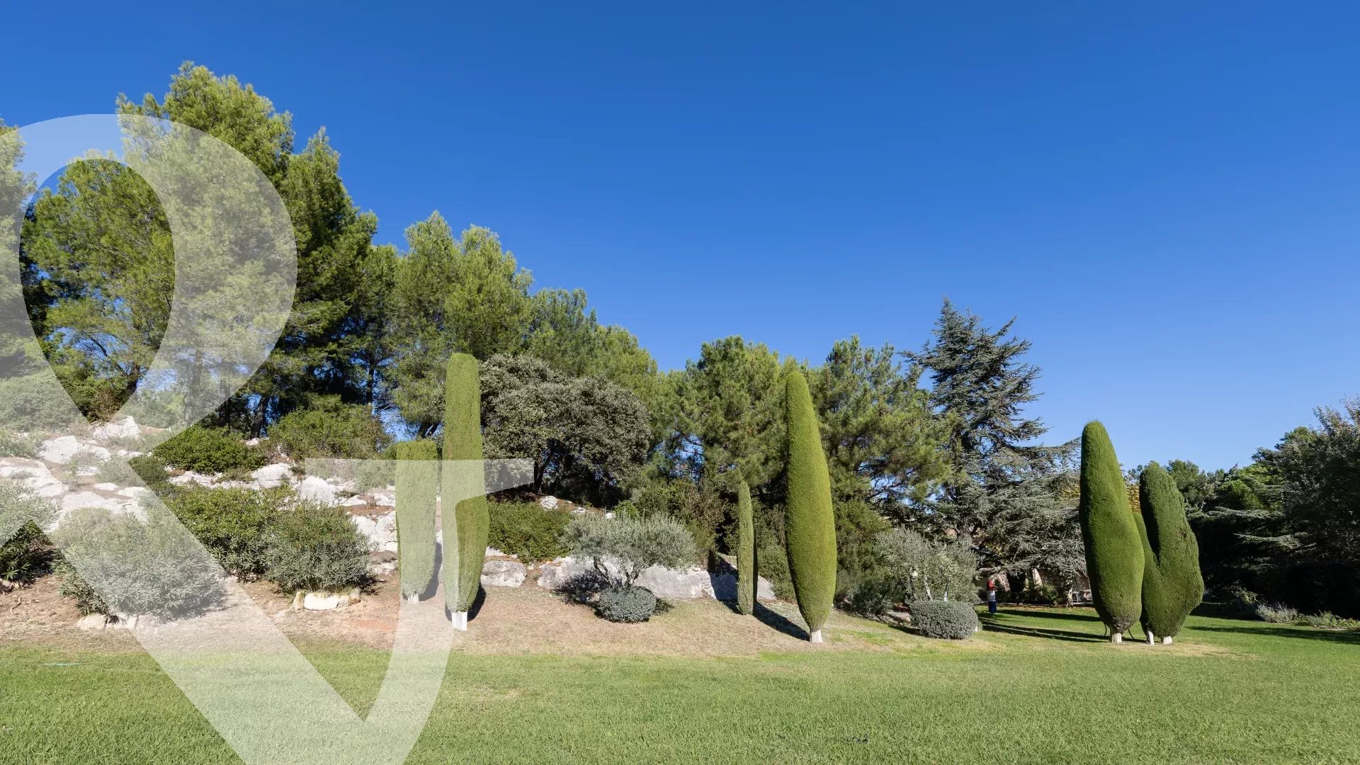 IMMERSION DANS  LES ALPILLES