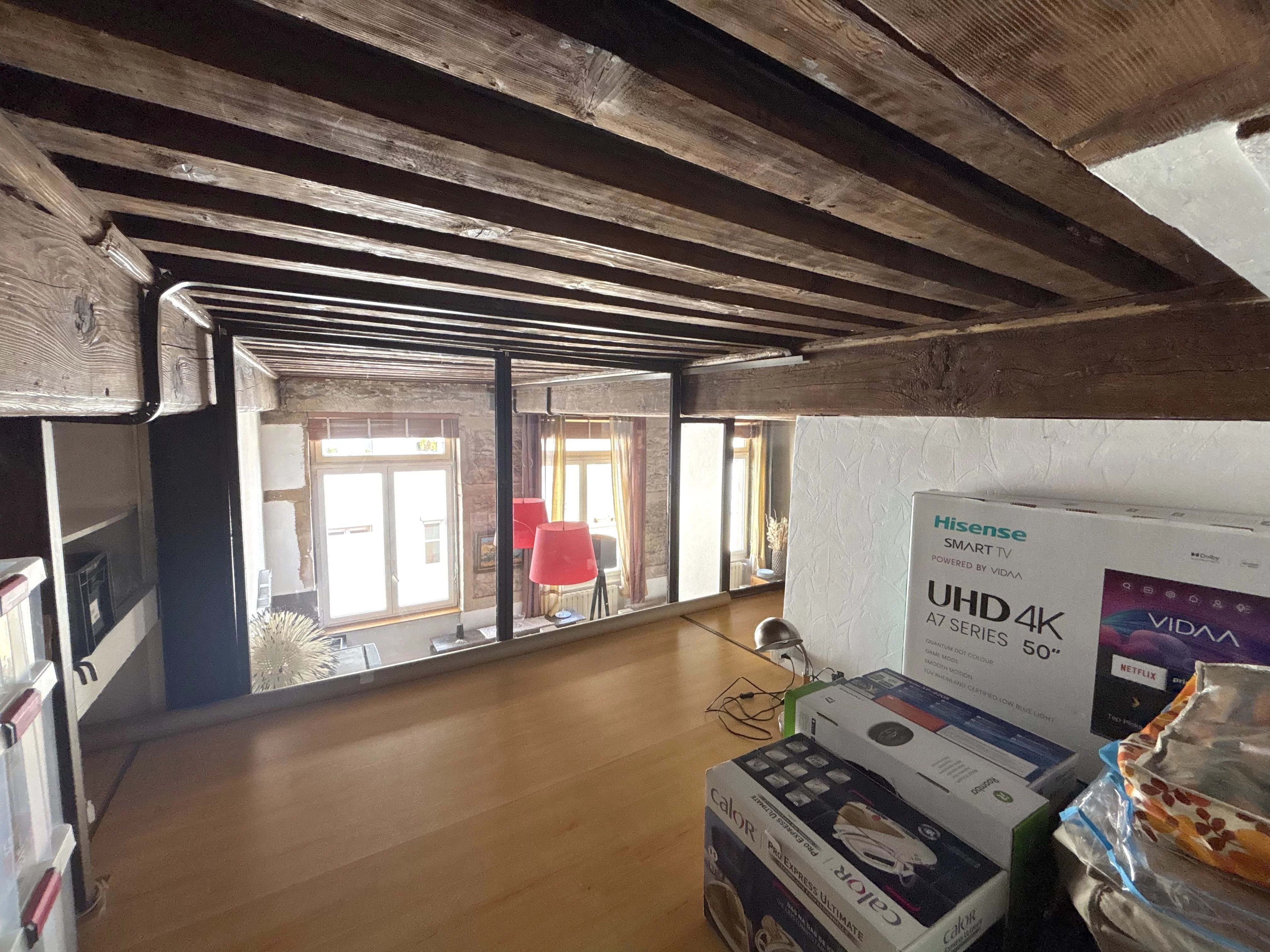 LYON 4  À deux pas du Gros Caillou : CHARME CANUT de 49,39 m² et 76,30 m² au sol — photo 10