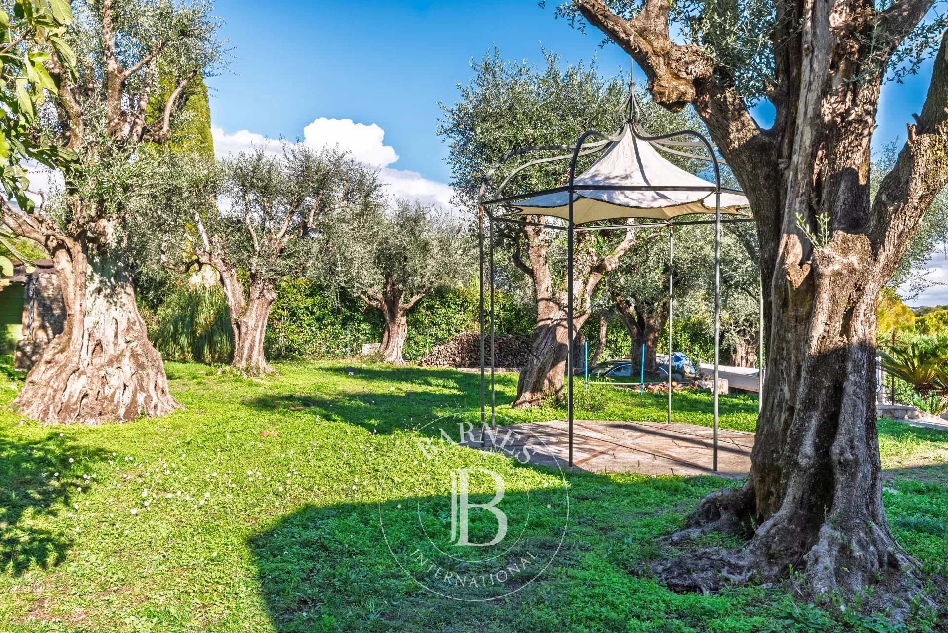 Villa Grasse - picture 4