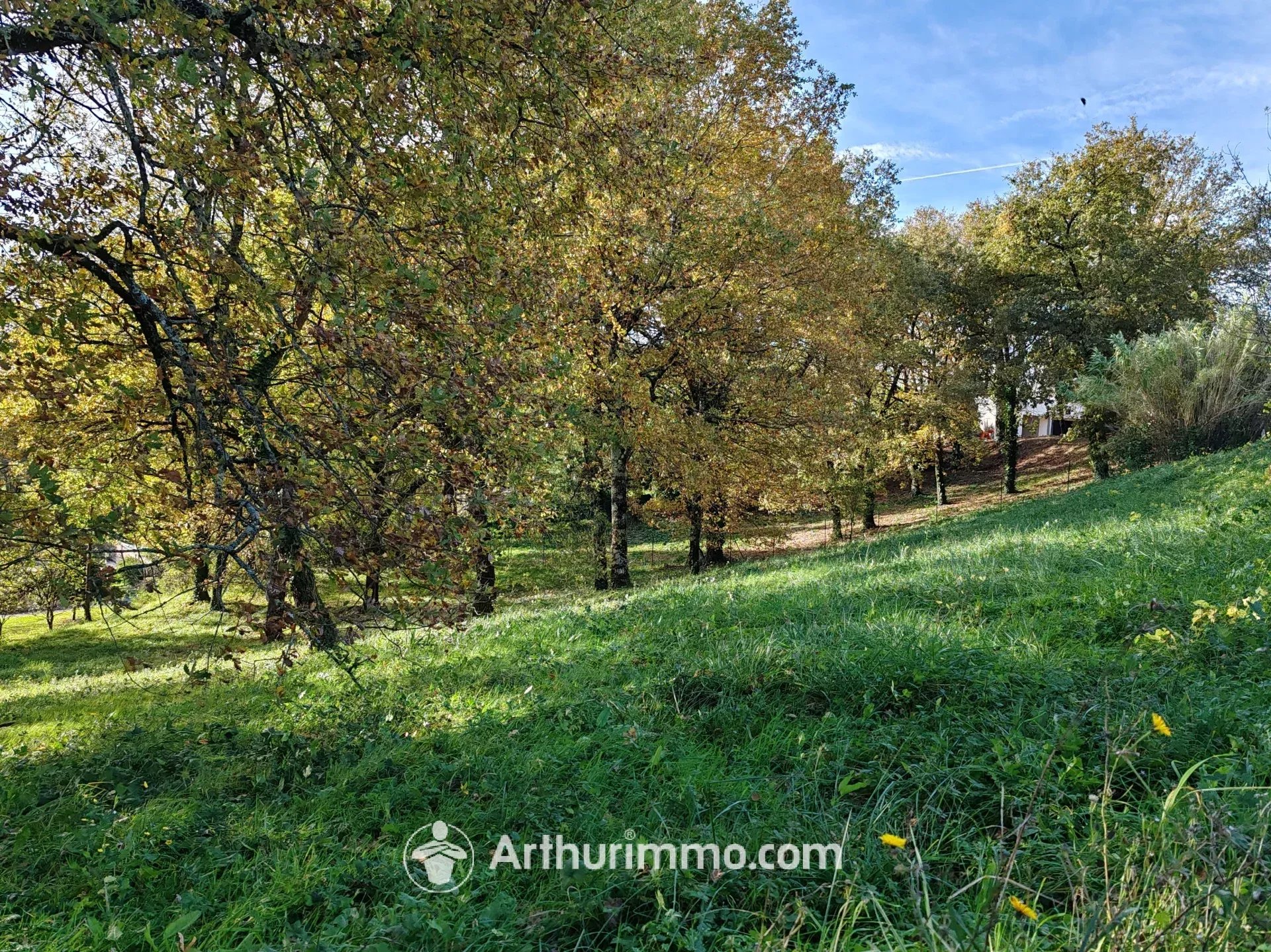 Agence immobilière de Arthurimmo.com