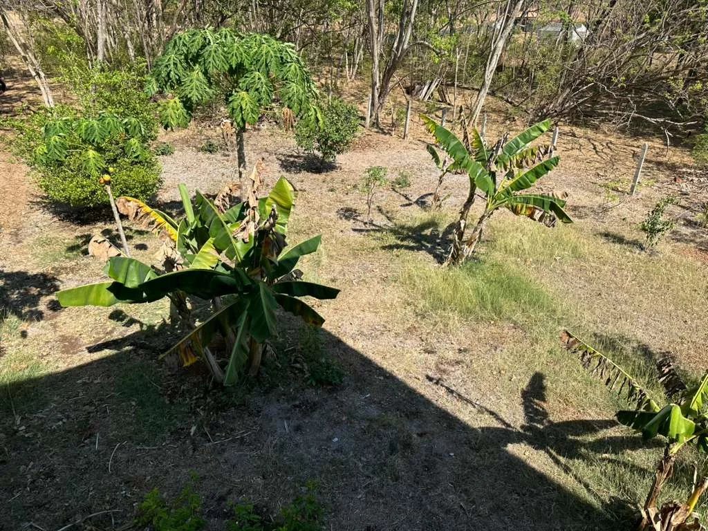 Venta Casa Santa Cruz