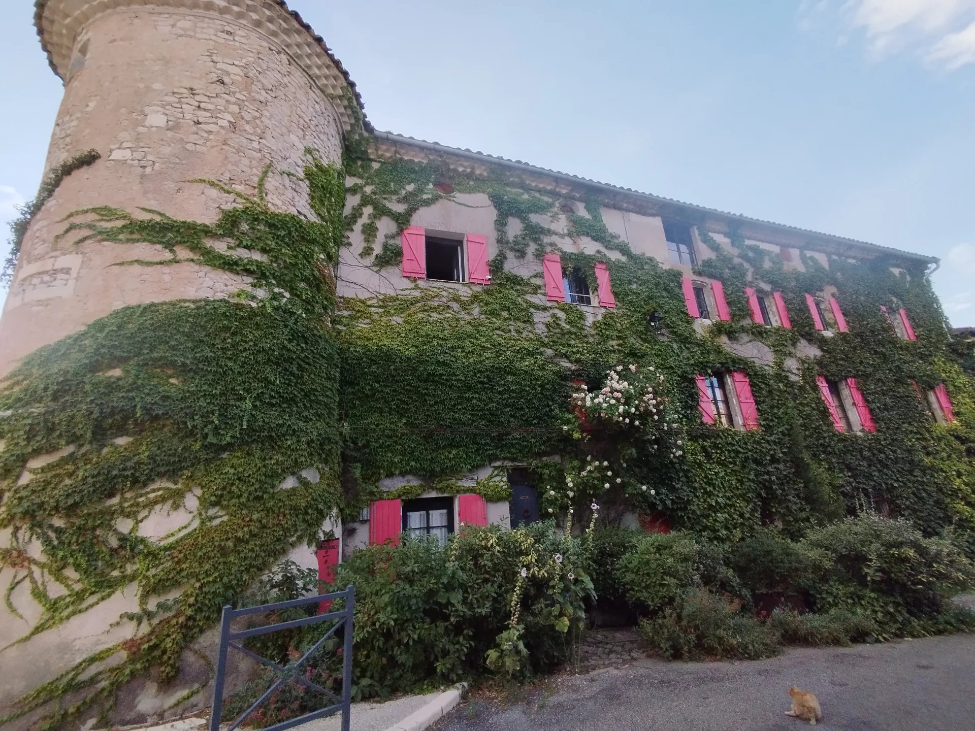 Vente Château Revest-du-Bion