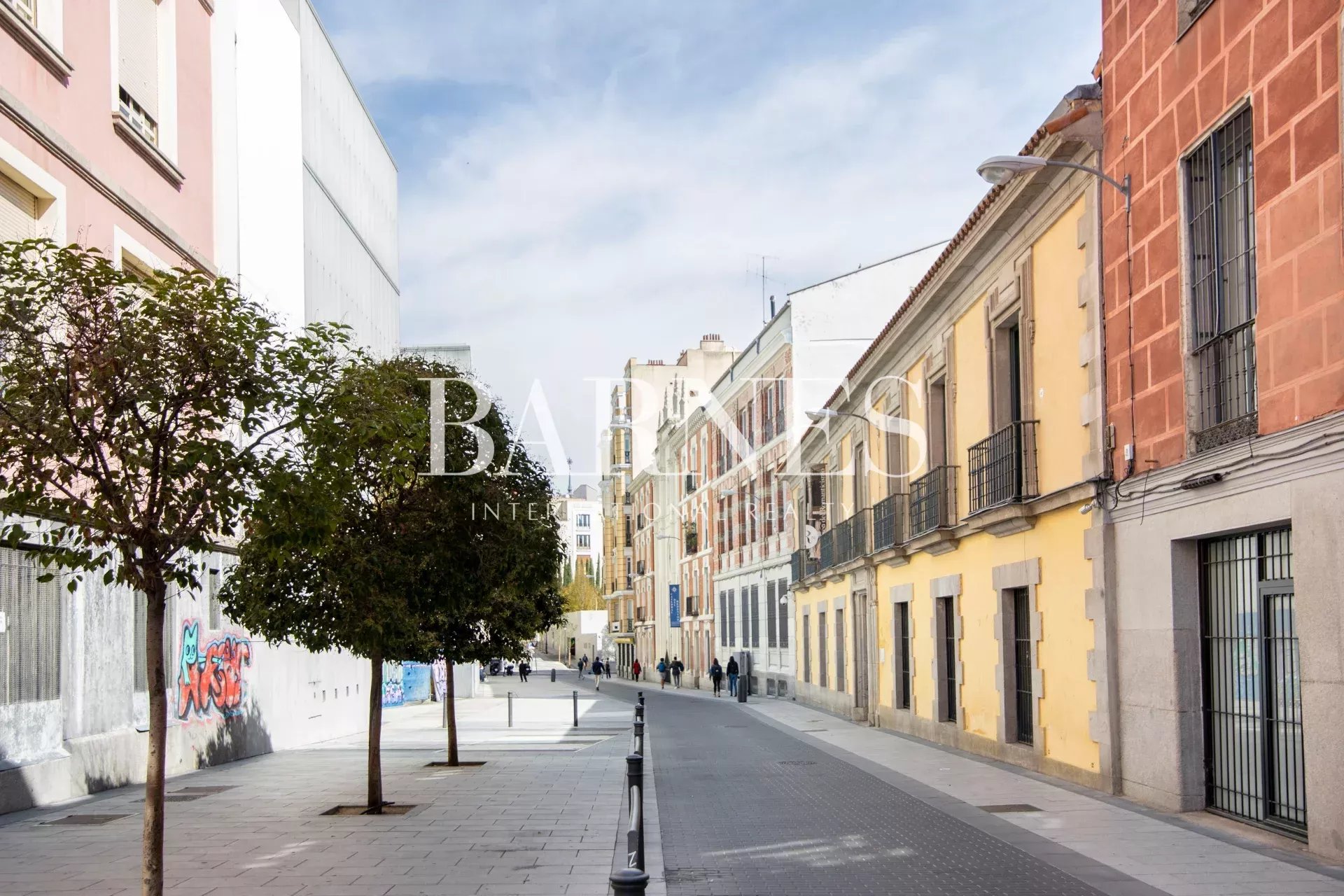 Daire Madrid - picture 28