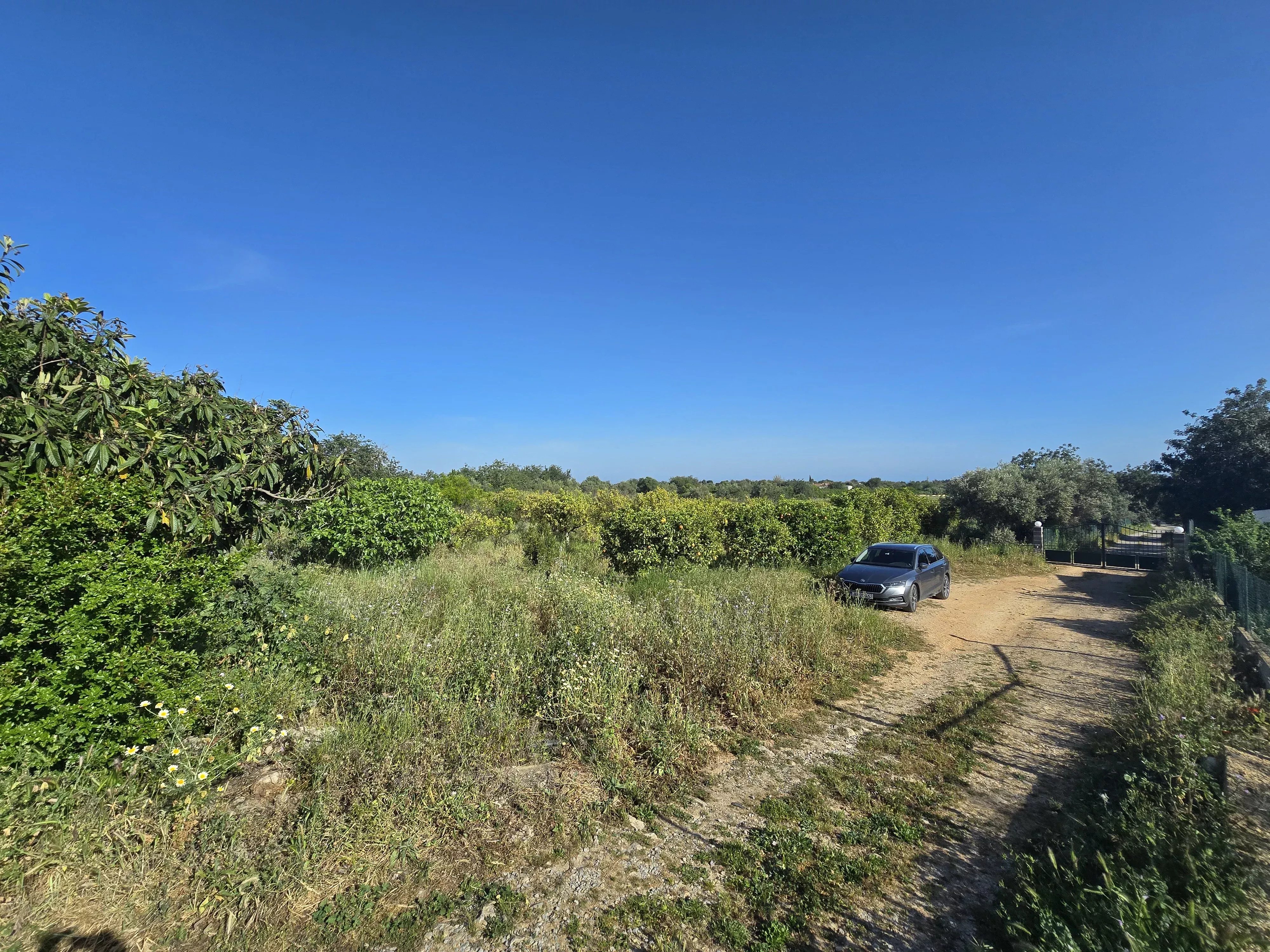 6 room Farmhouse with 1.5 hectares of land and sea view 86949039 image 41