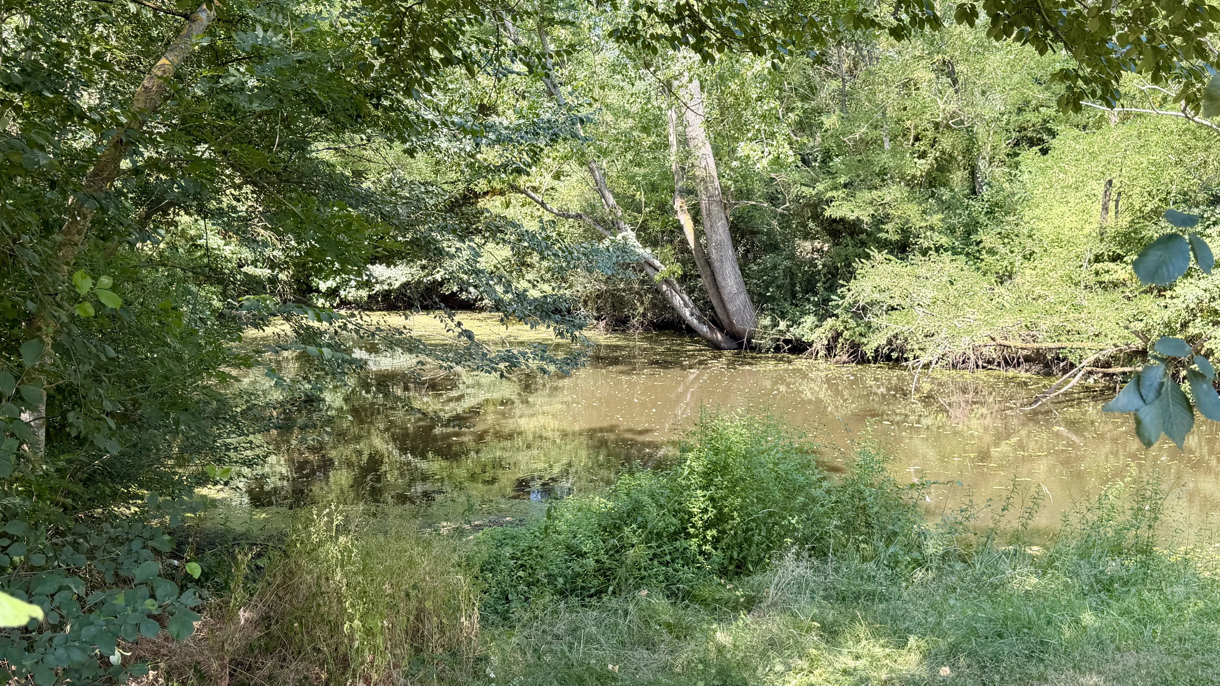 Propriété à vendre Escanecrabe, Haute-Garonne