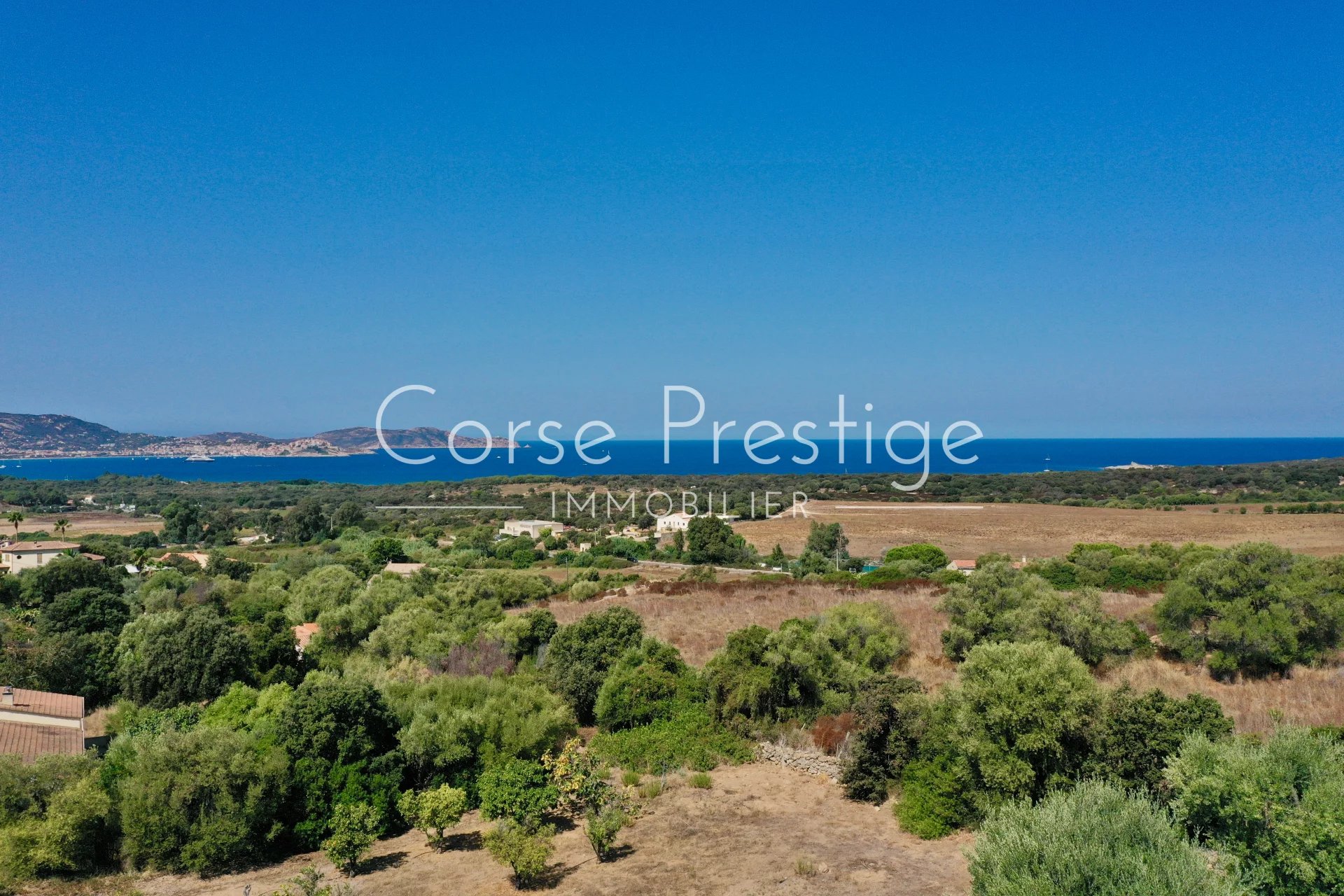 building land for a house - sea view - lumio - calvi image1
