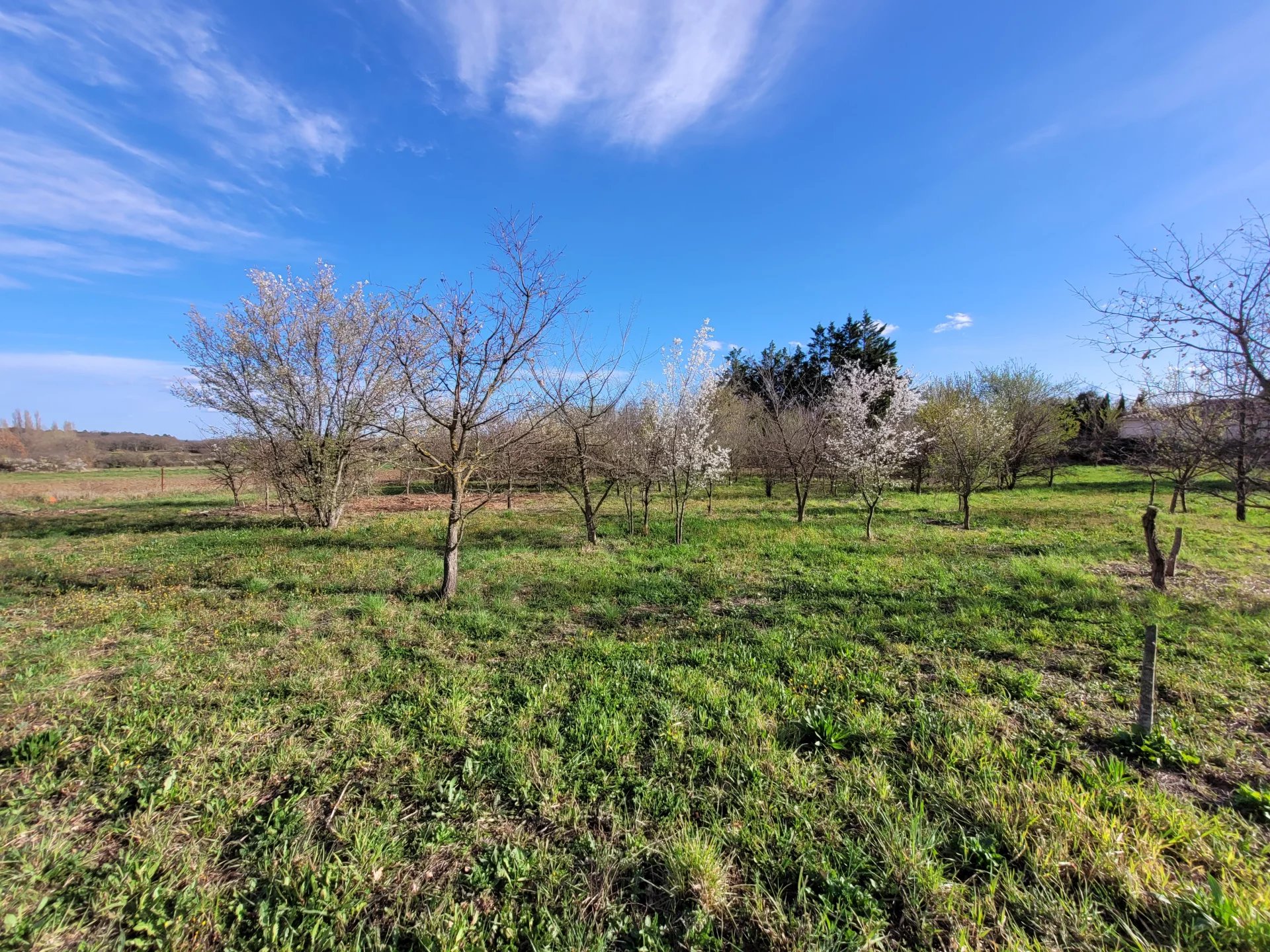 Vente Terrain constructible Uzès