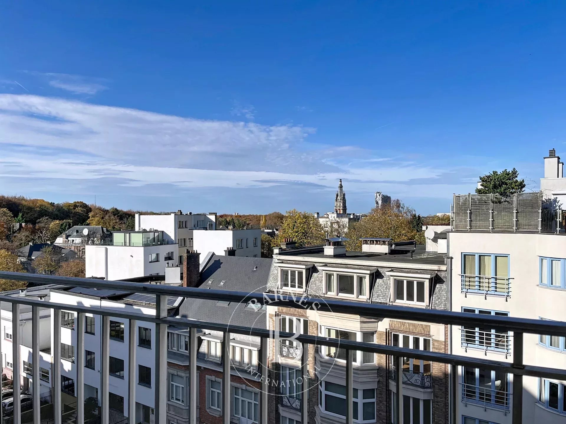 Bois de la Cambre - 4bedroom apartment + terrace + parking lot