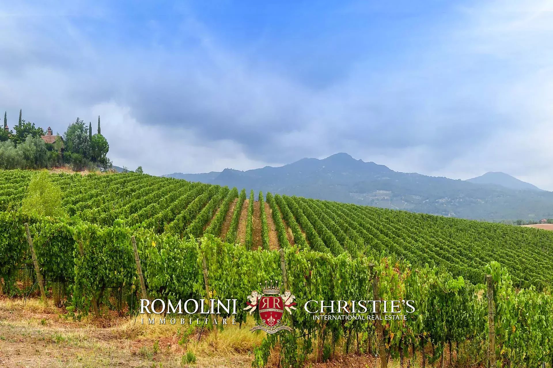 Property Slider Image