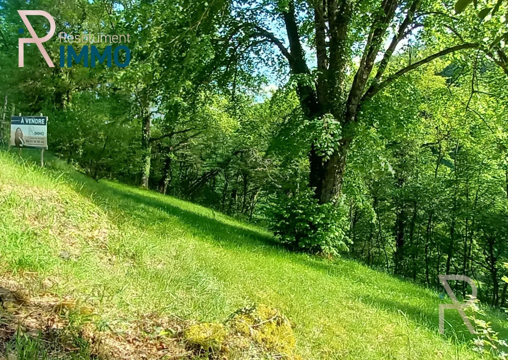 Vente Terrain Osenbach
