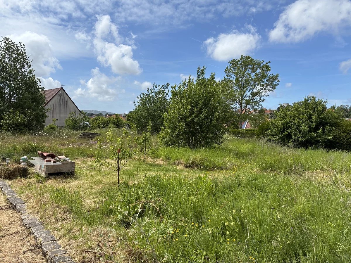 Vente Terrain constructible Samer