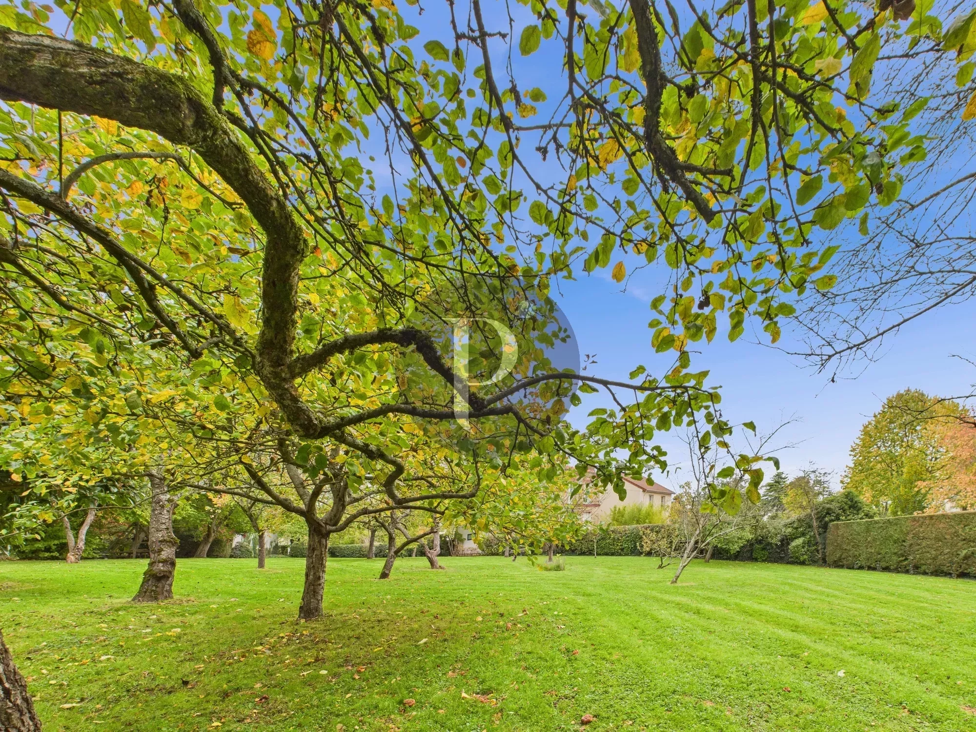 vente-appartement-4-pieces-chatenay-malabry-86384478