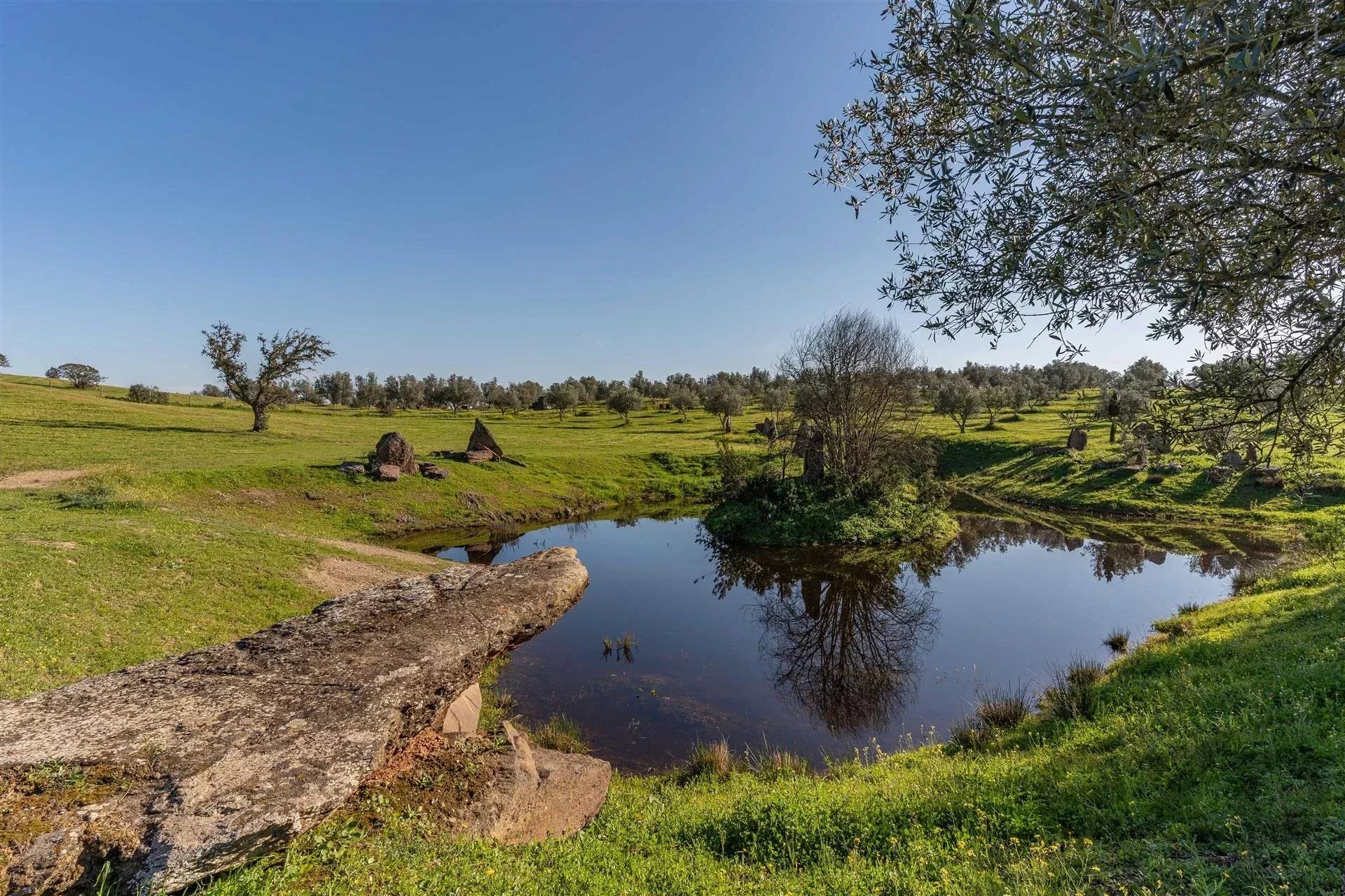 Private Estate - Equestrian Centre 86637172 image 52
