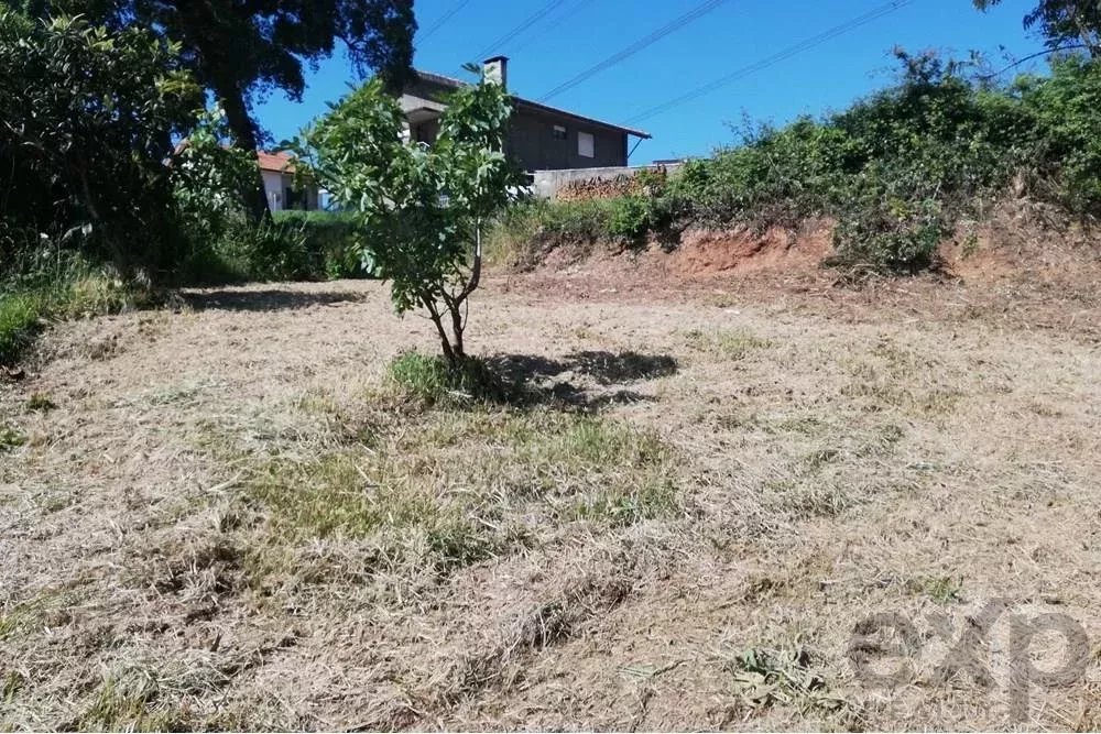 Terreno Rústico em Medas, Um Refúgio Tranquilo à próximo do Rio Douro