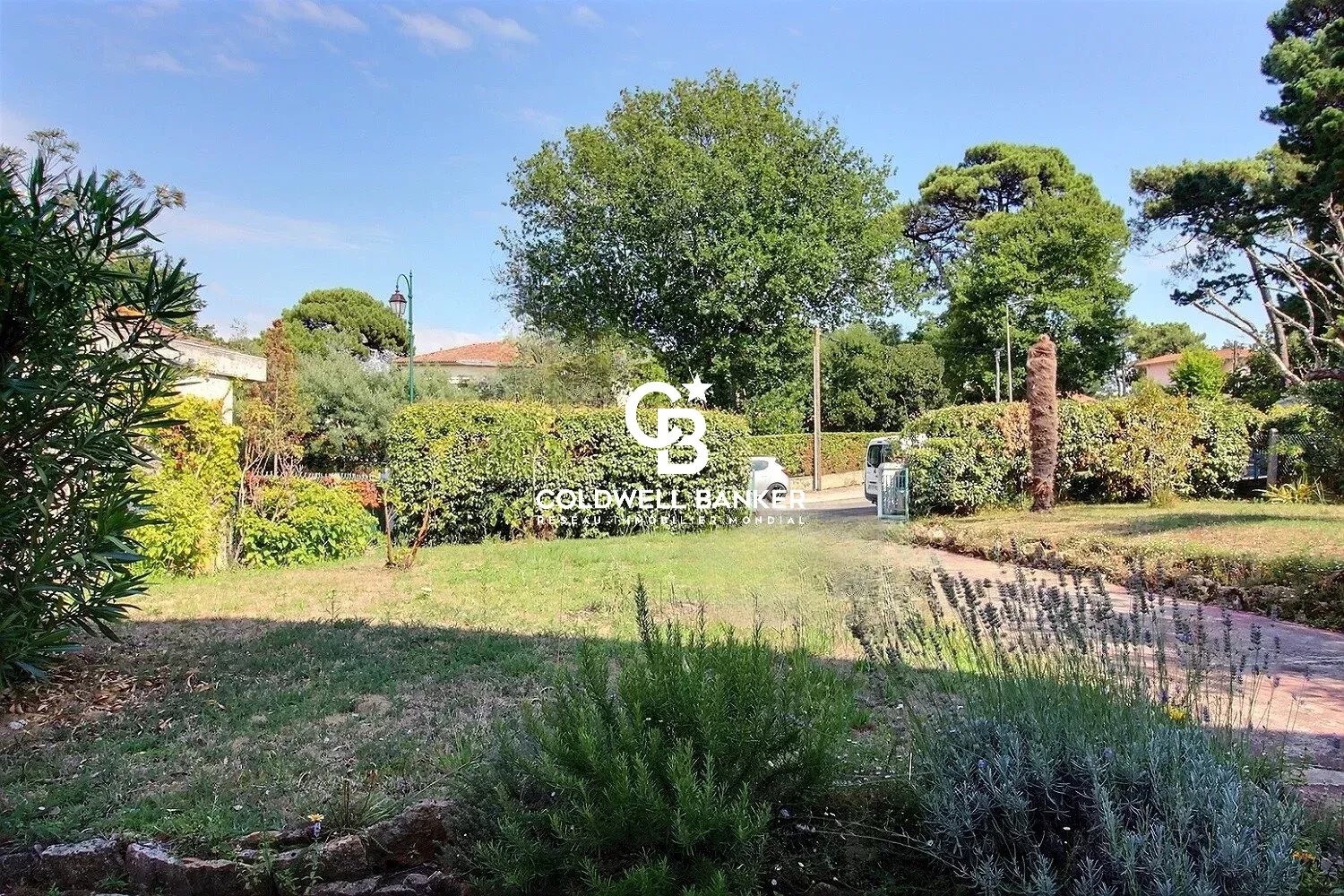 Agence immobilière de Silver Coast Int. Realty