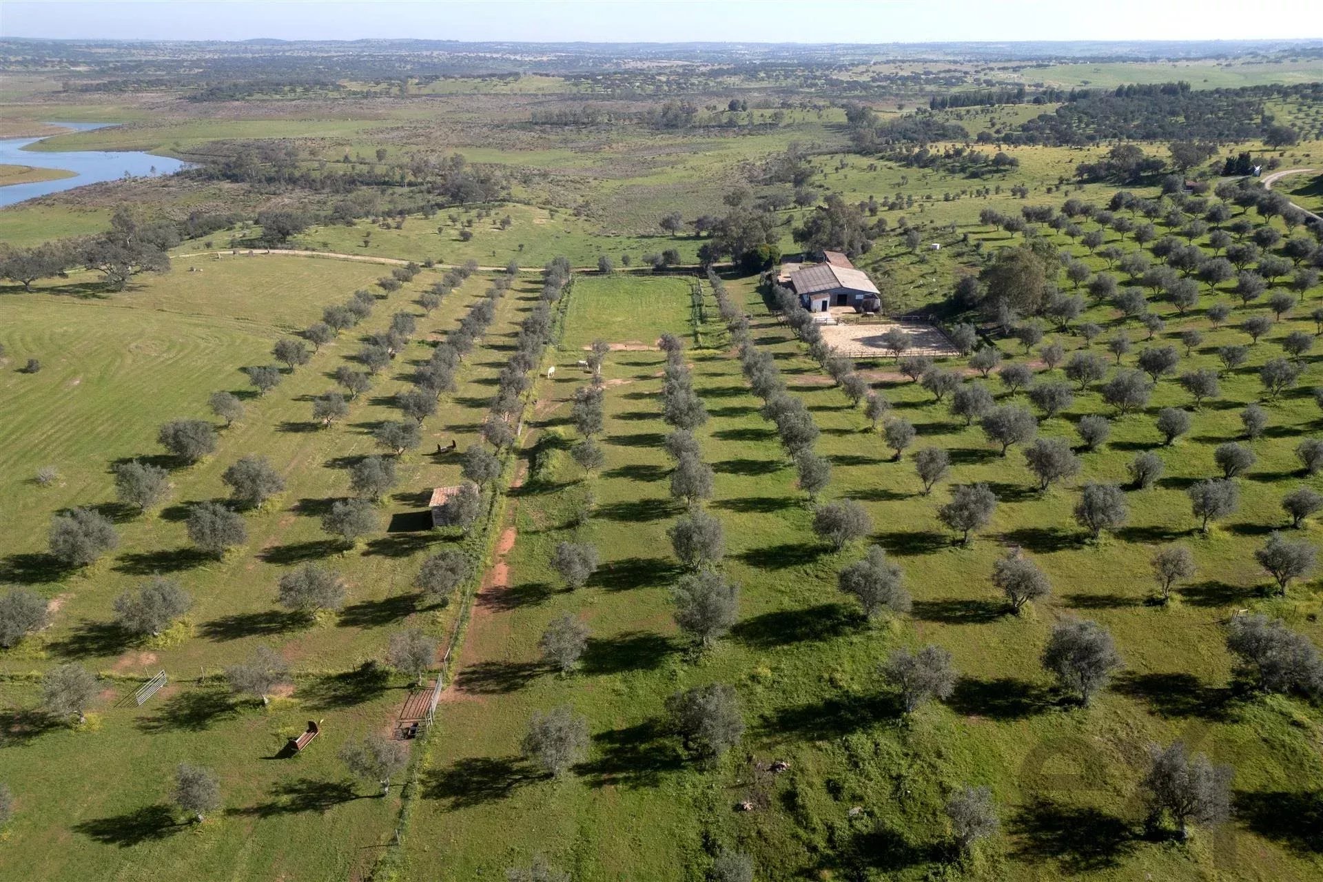 Private Estate - Equestrian Centre 86640416 image 1