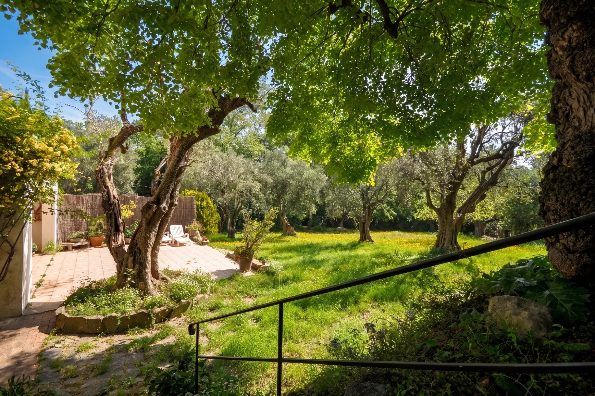 MOUGINS-PROPERTY 2 VILLAS ON A FENCED AND WOODED  PLOT OF 6700 M²
