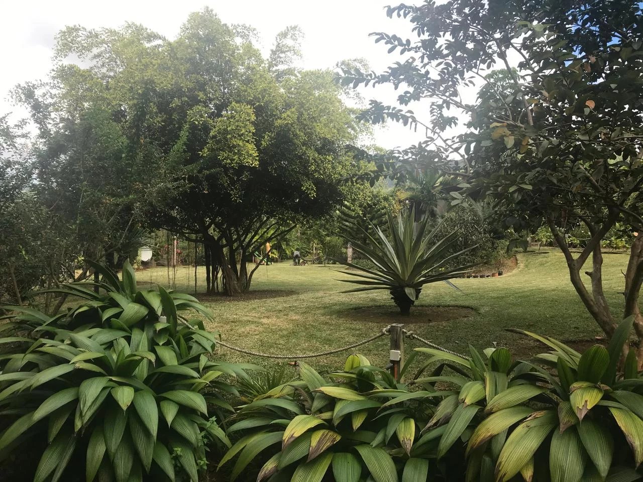 Dağ evi Sébastopol - picture 16