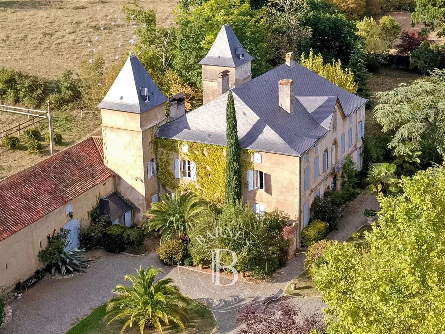 Château Maubourguet  -  ref 86352312 (picture 2)