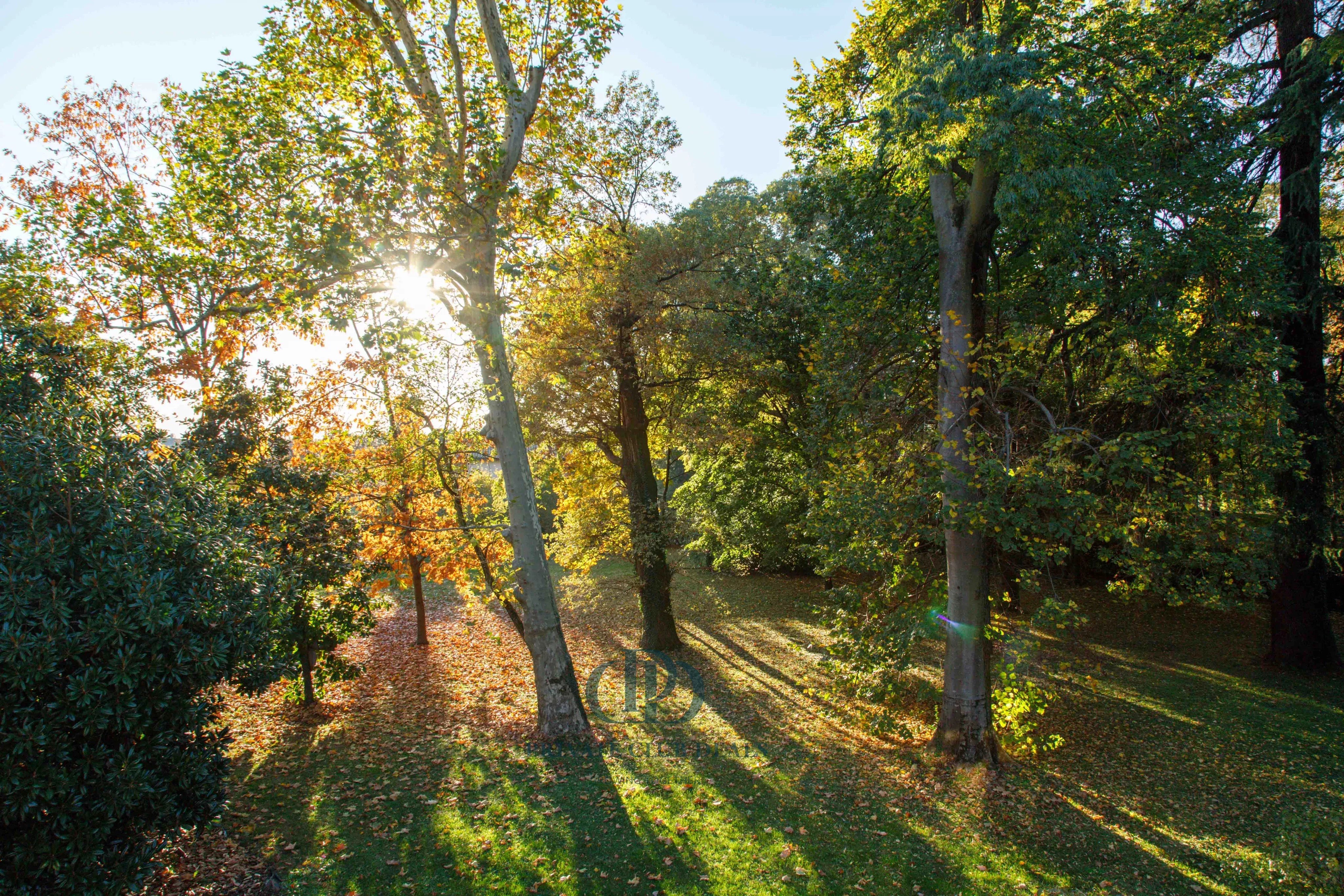 Villa Bassano del Grappa - picture 19