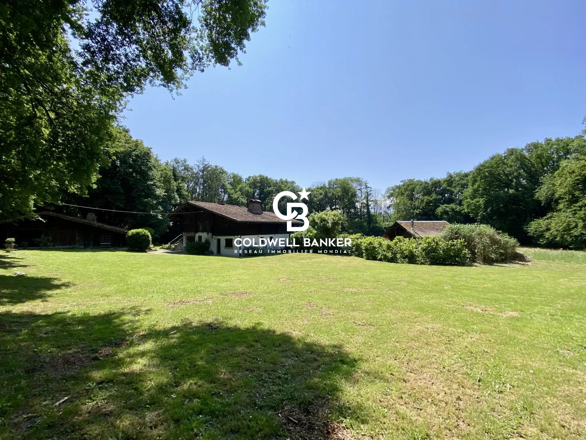 Agence immobilière de Coldwell Banker