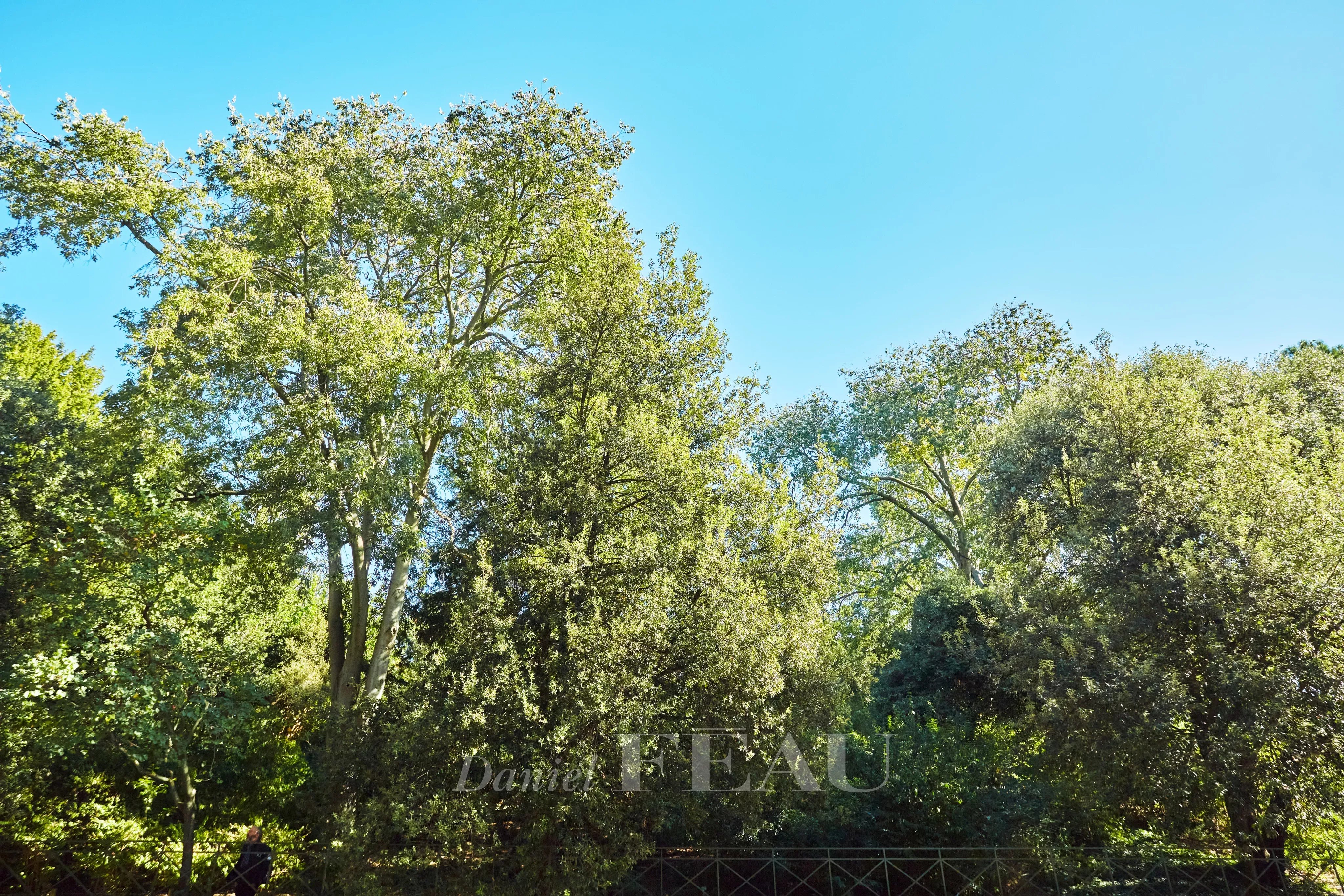 Vente Appartement Paris 5ème