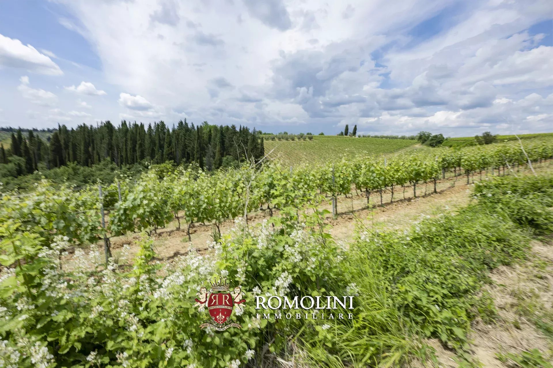7 Bedroom Vineyard's Image 8