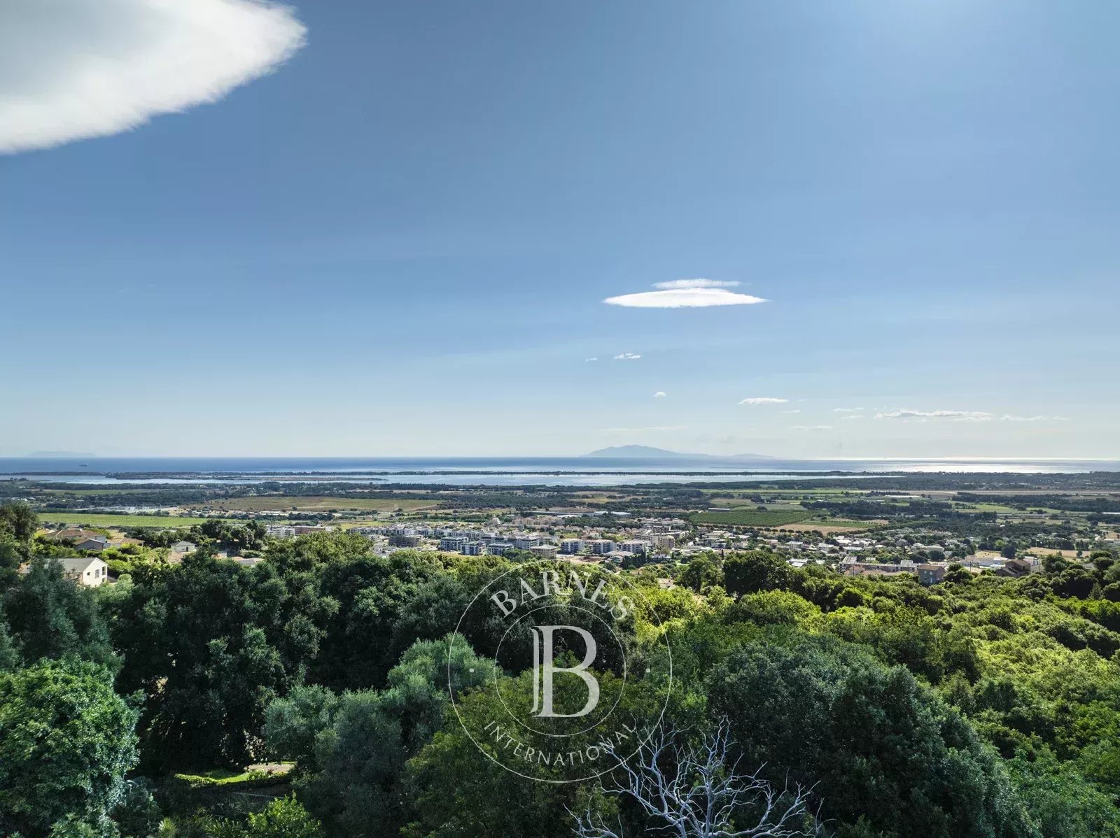 Terrain constructible Bastia  -  ref 85976270 (picture 2)