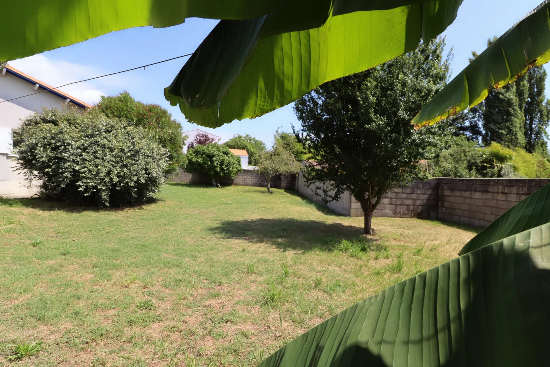 Vente Terrain Saint-Palais-sur-Mer