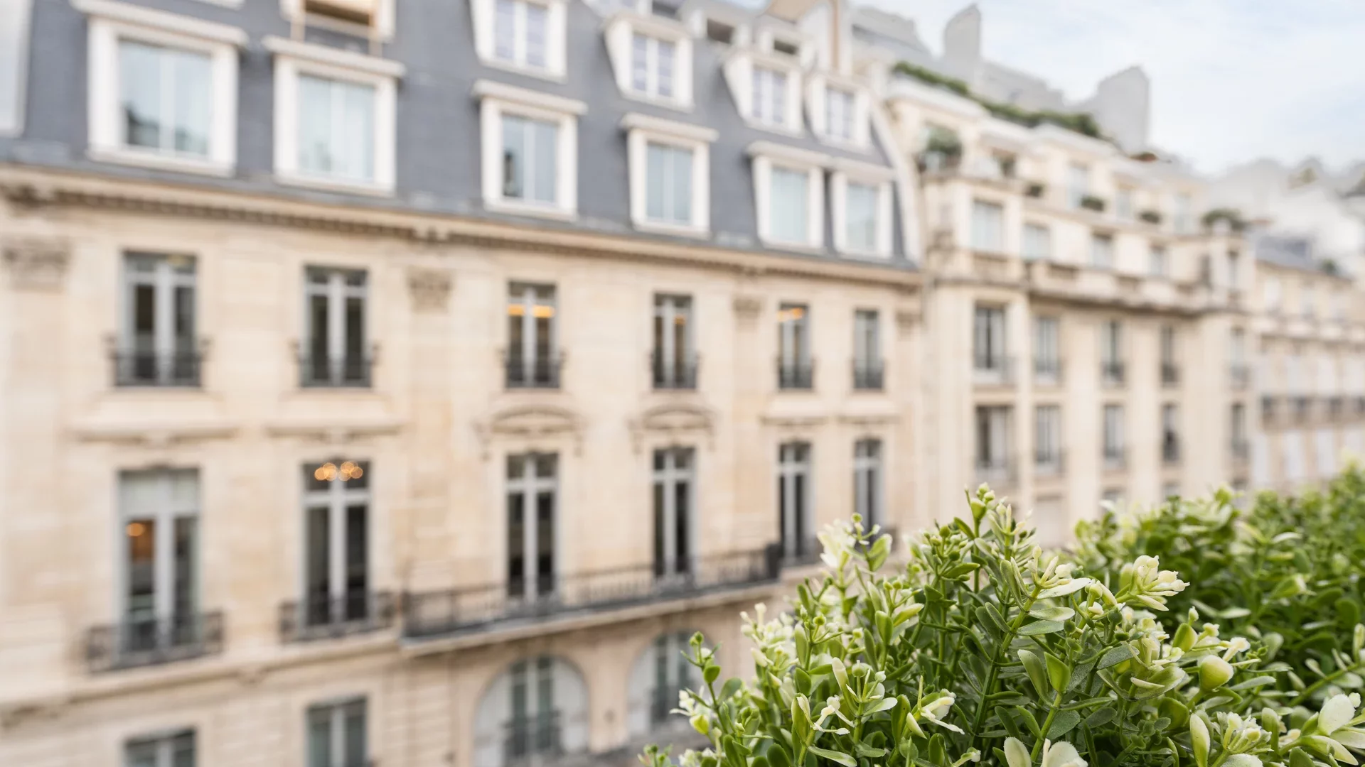 Paris 8e
