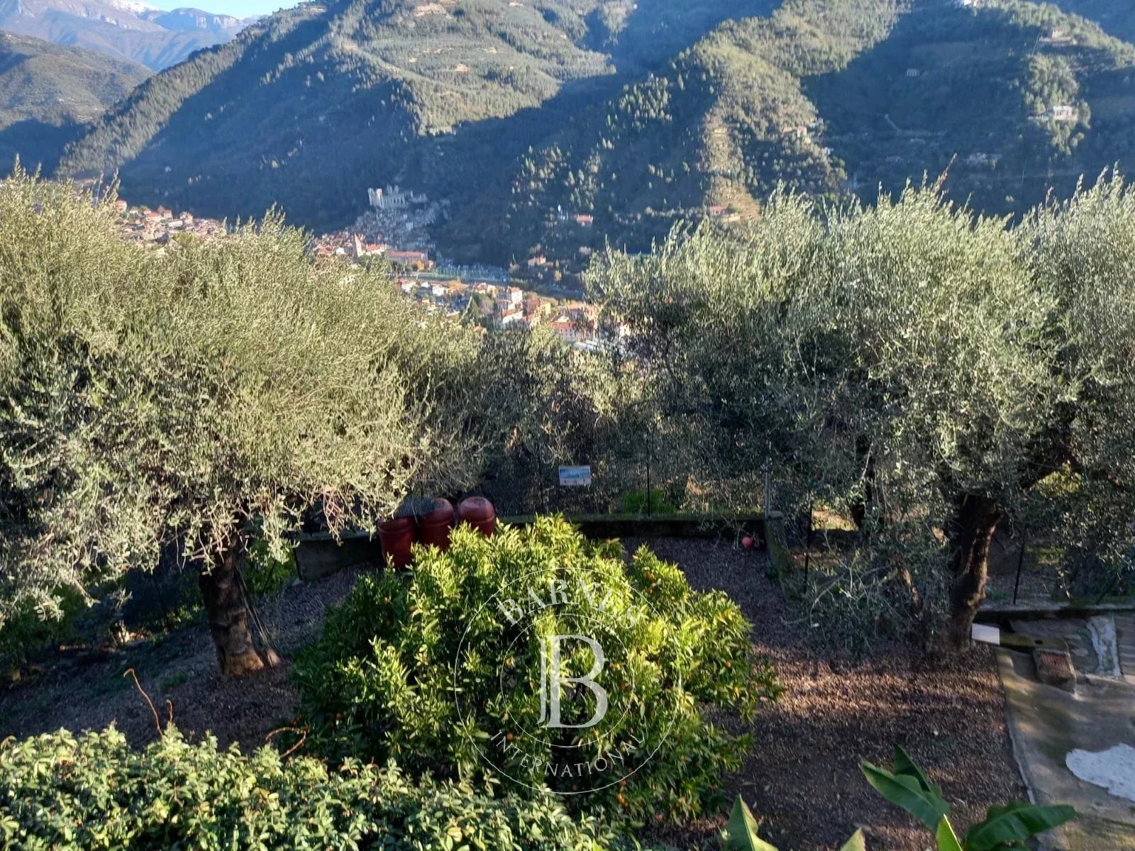 Villa Dolceacqua - picture 18