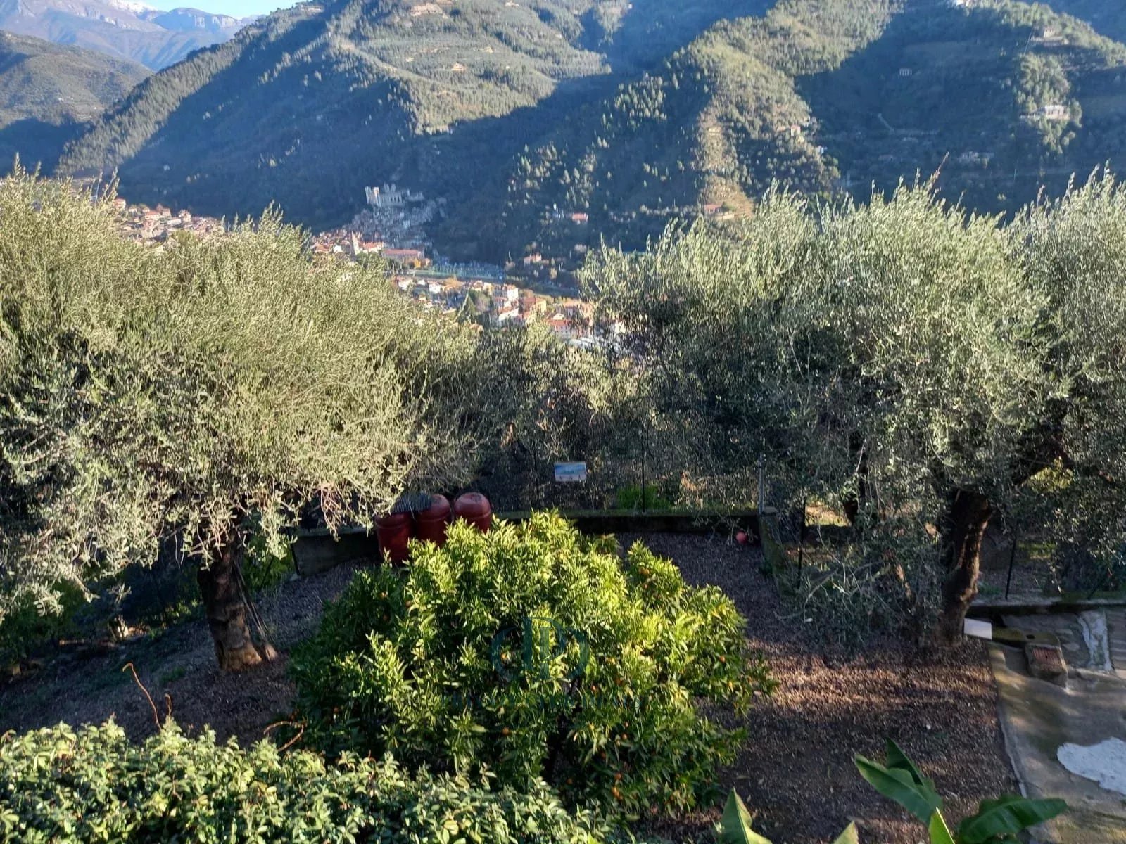 Villa Dolceacqua - picture 18