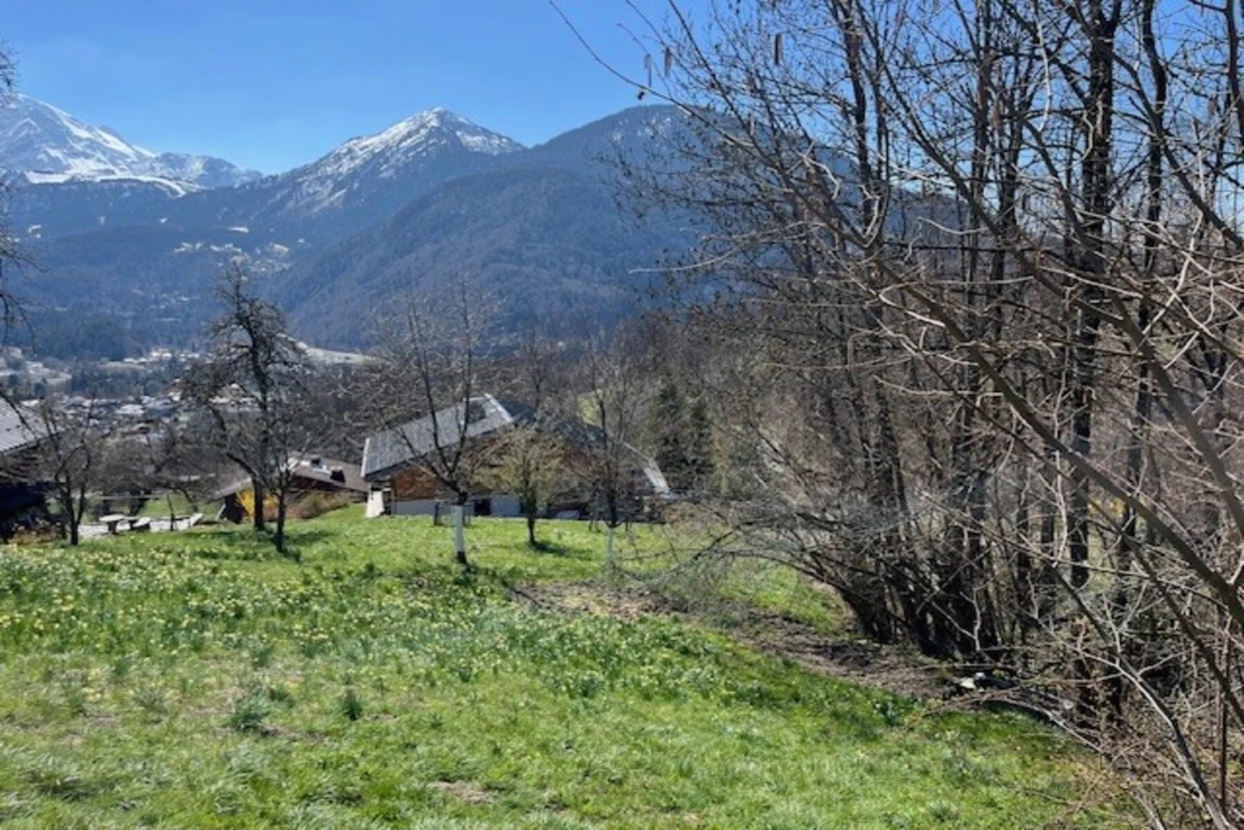 Photo of SERVOZ – Sunny plot with Mont-Blanc views