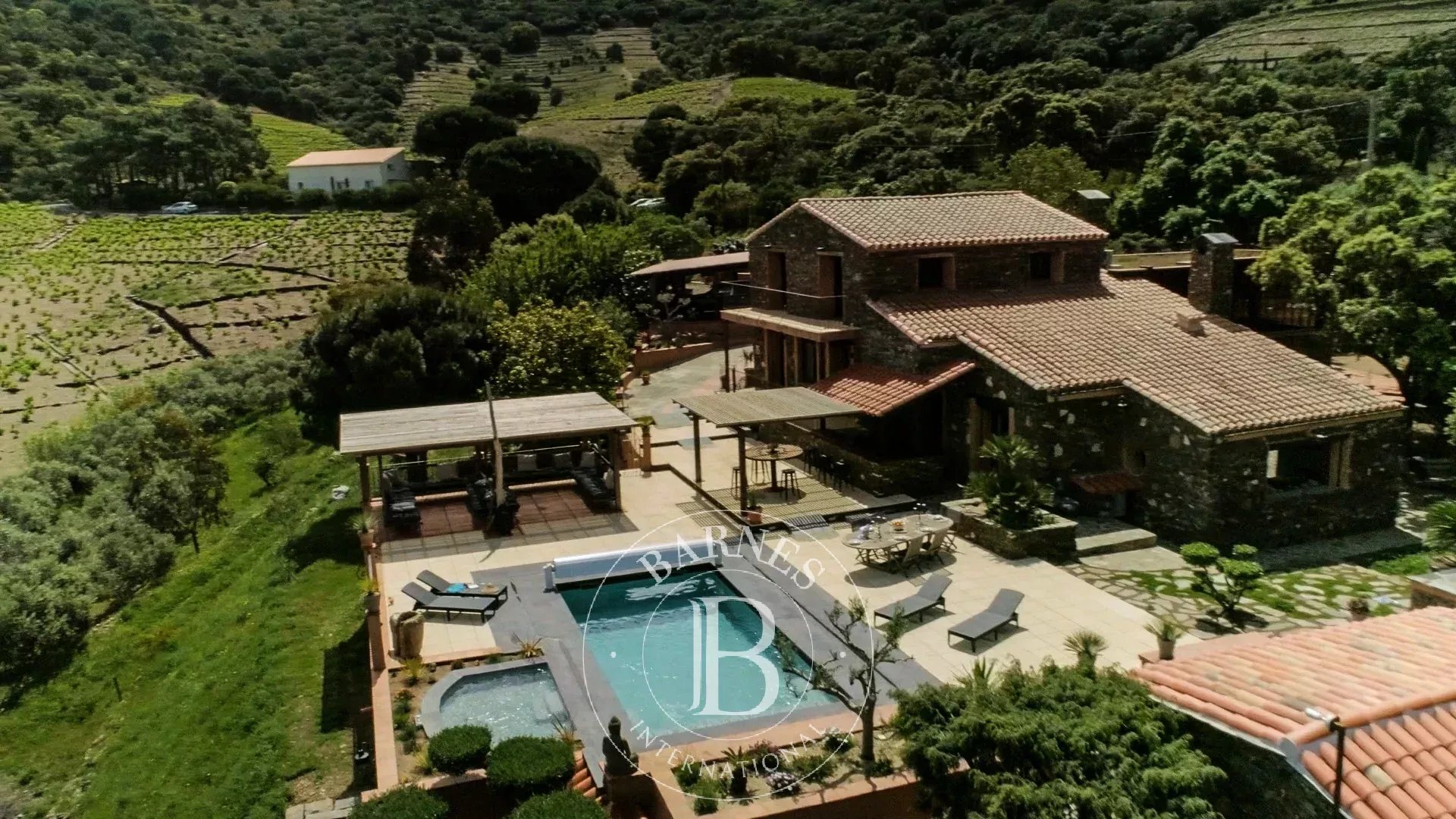 Mas Banyuls-sur-Mer  -  ref 87086738 (picture 3)